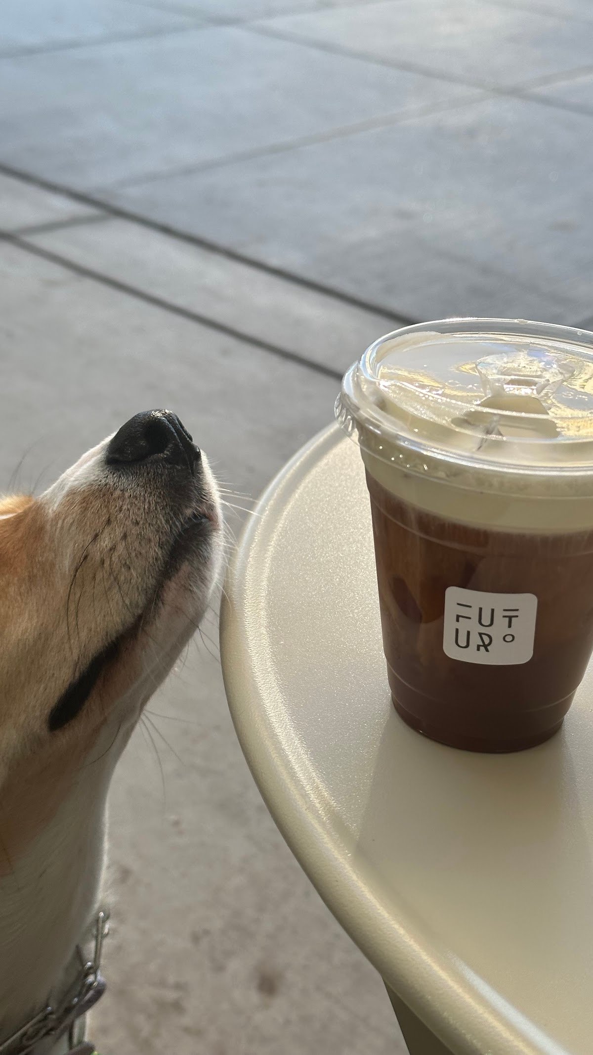 Futuro specialty coffee shop in Phoenix - photo 11