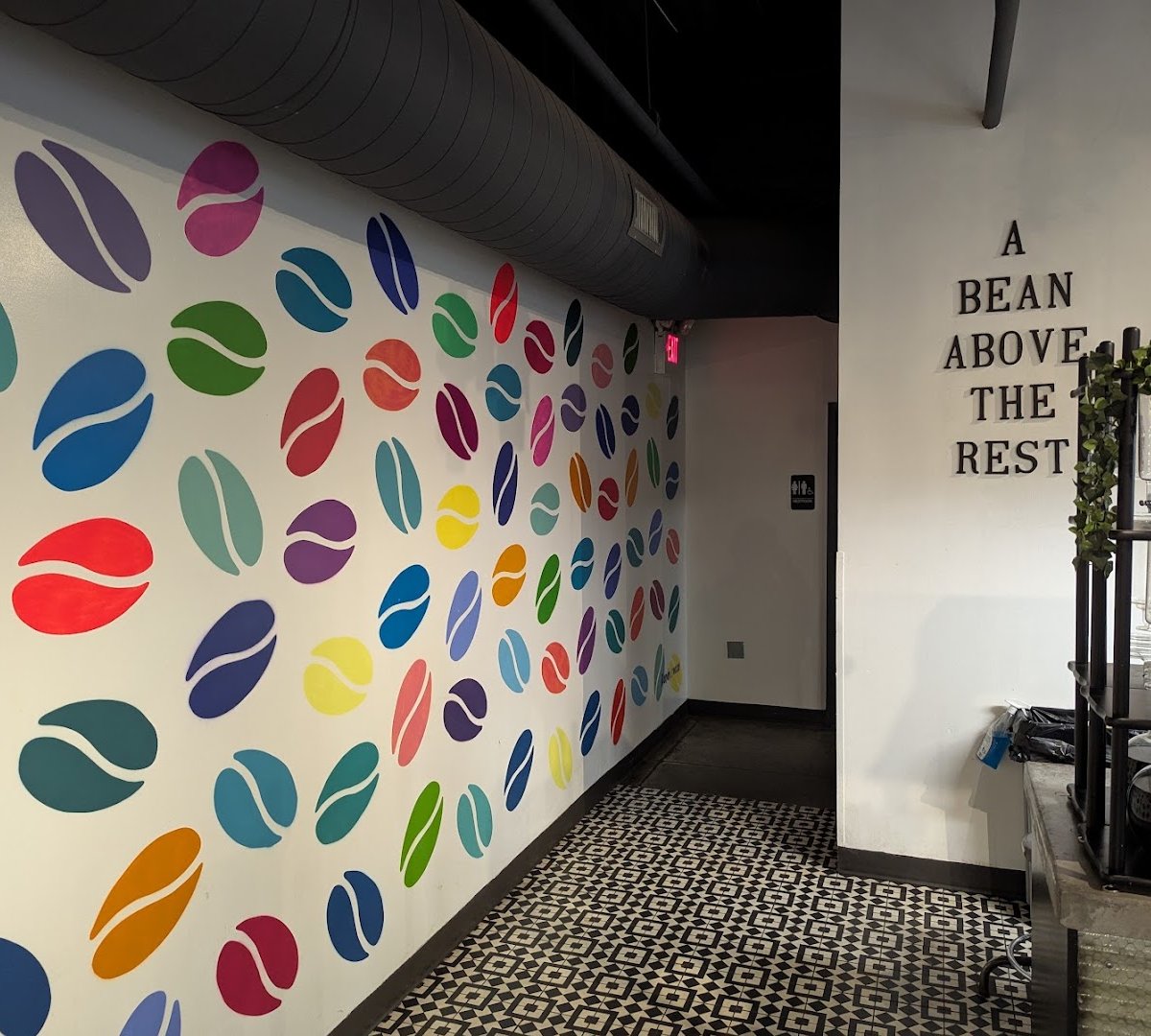 Interior of Waterbean Coffee, specialty coffee shop in Charlotte