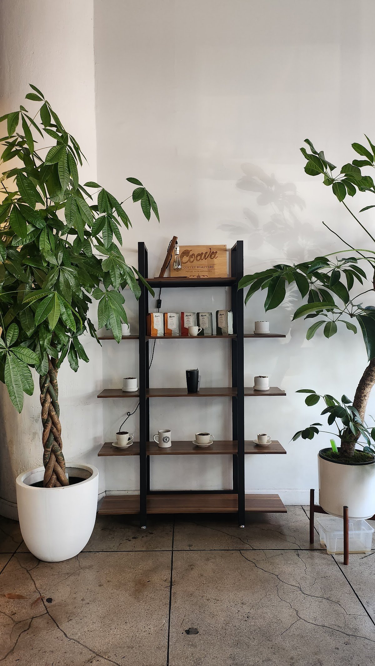 Sharp Specialty Coffee specialty coffee shop in Los Angeles - photo 4