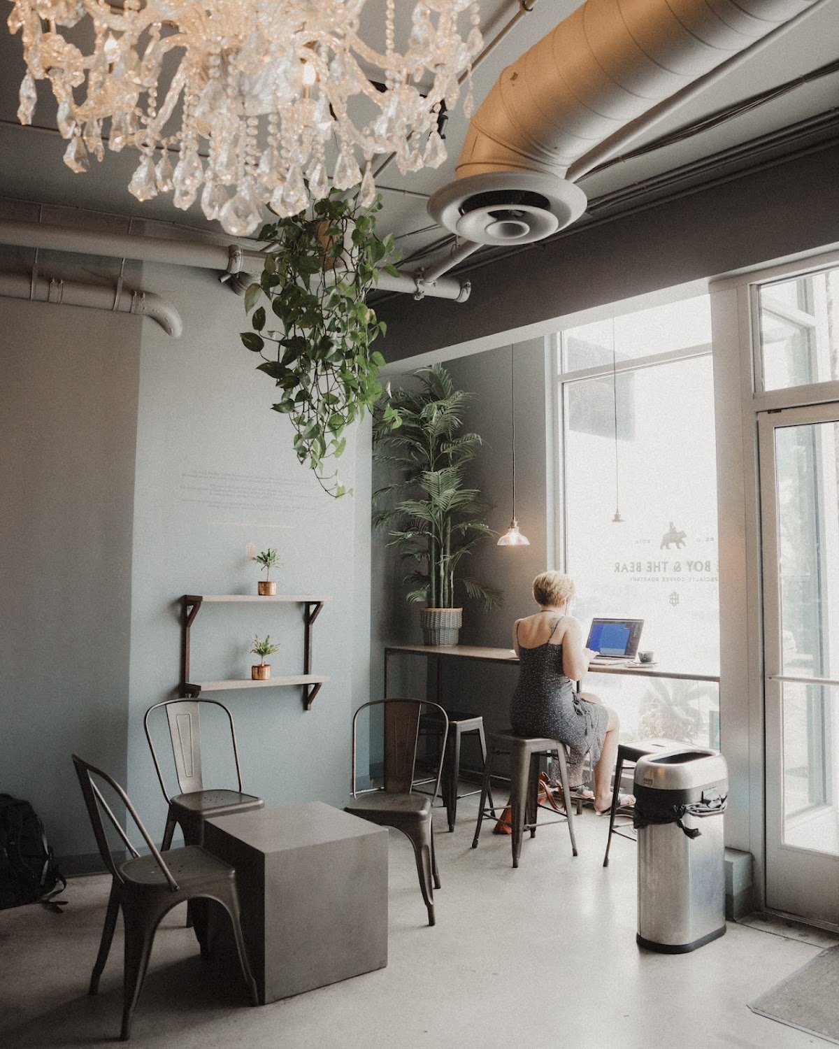 The Boy & The Bear - Coffee Roastery specialty coffee shop in Los Angeles - photo 6