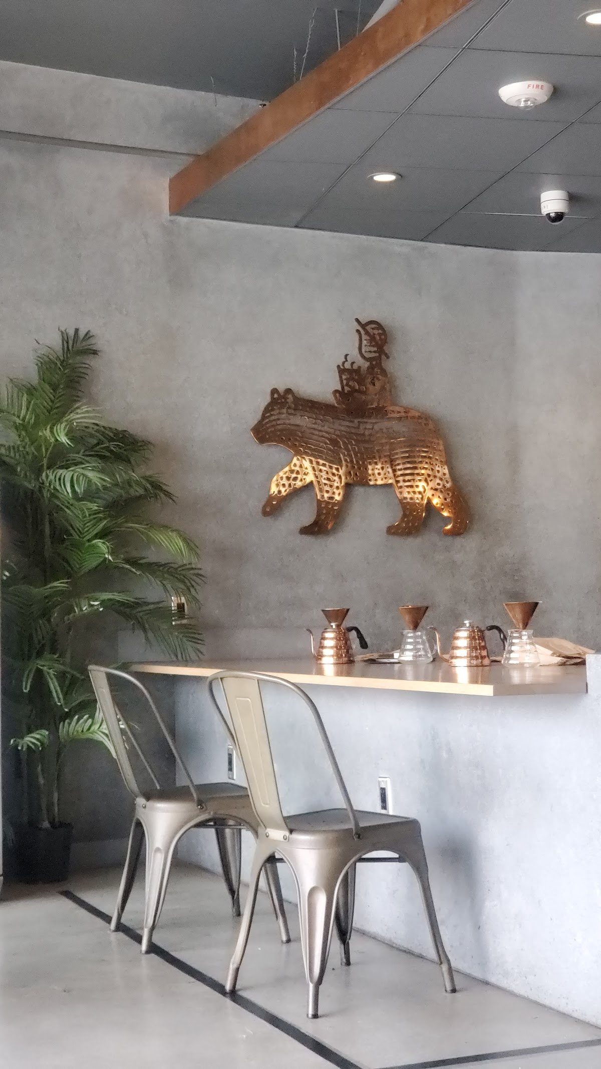 The Boy & The Bear - Coffee Roastery specialty coffee shop in Los Angeles - photo 8