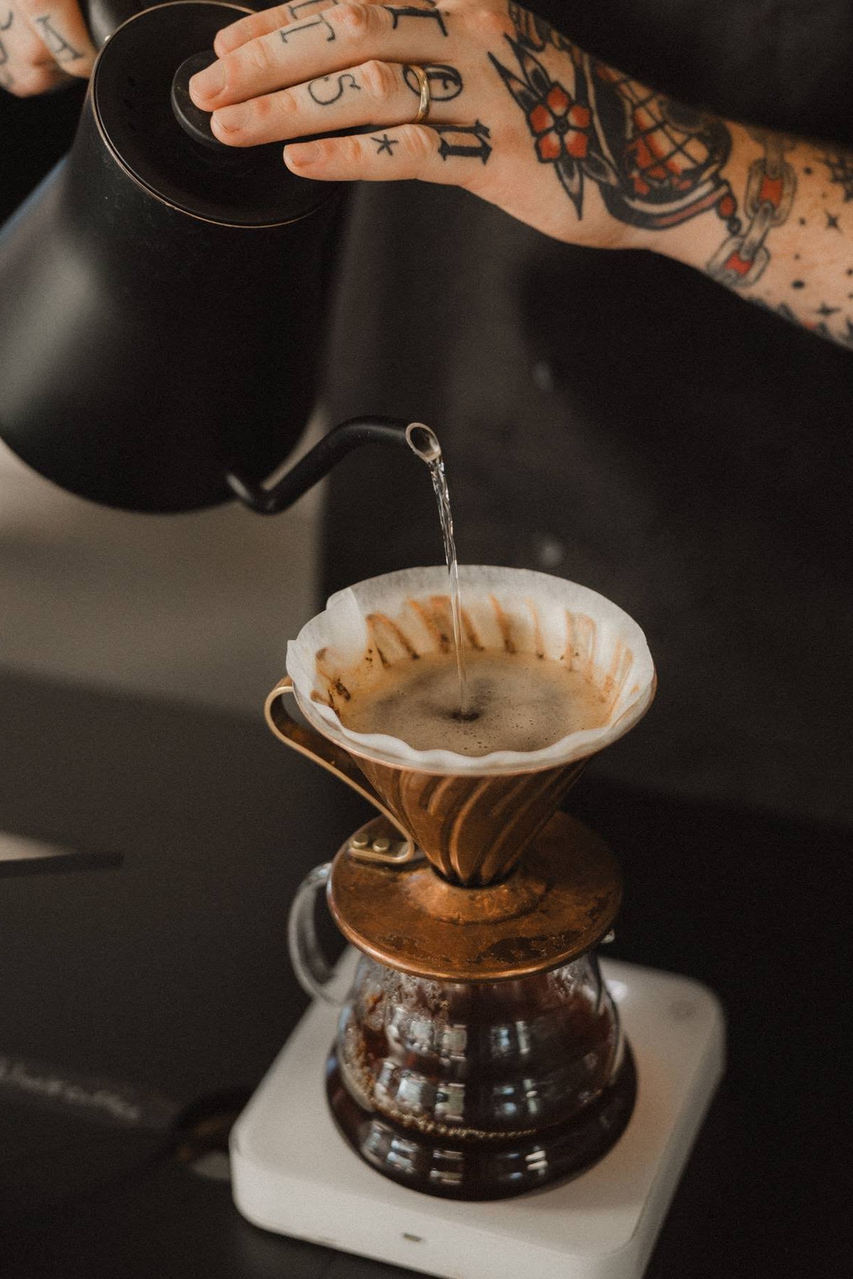 The Boy & The Bear - Coffee Roastery specialty coffee shop in Los Angeles - photo 10