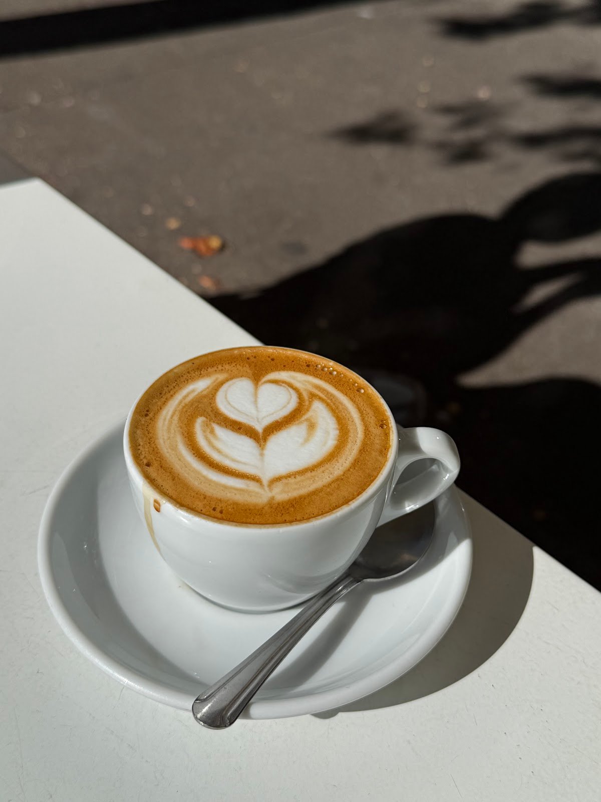 Courier Coffee specialty coffee shop in Portland - photo 2