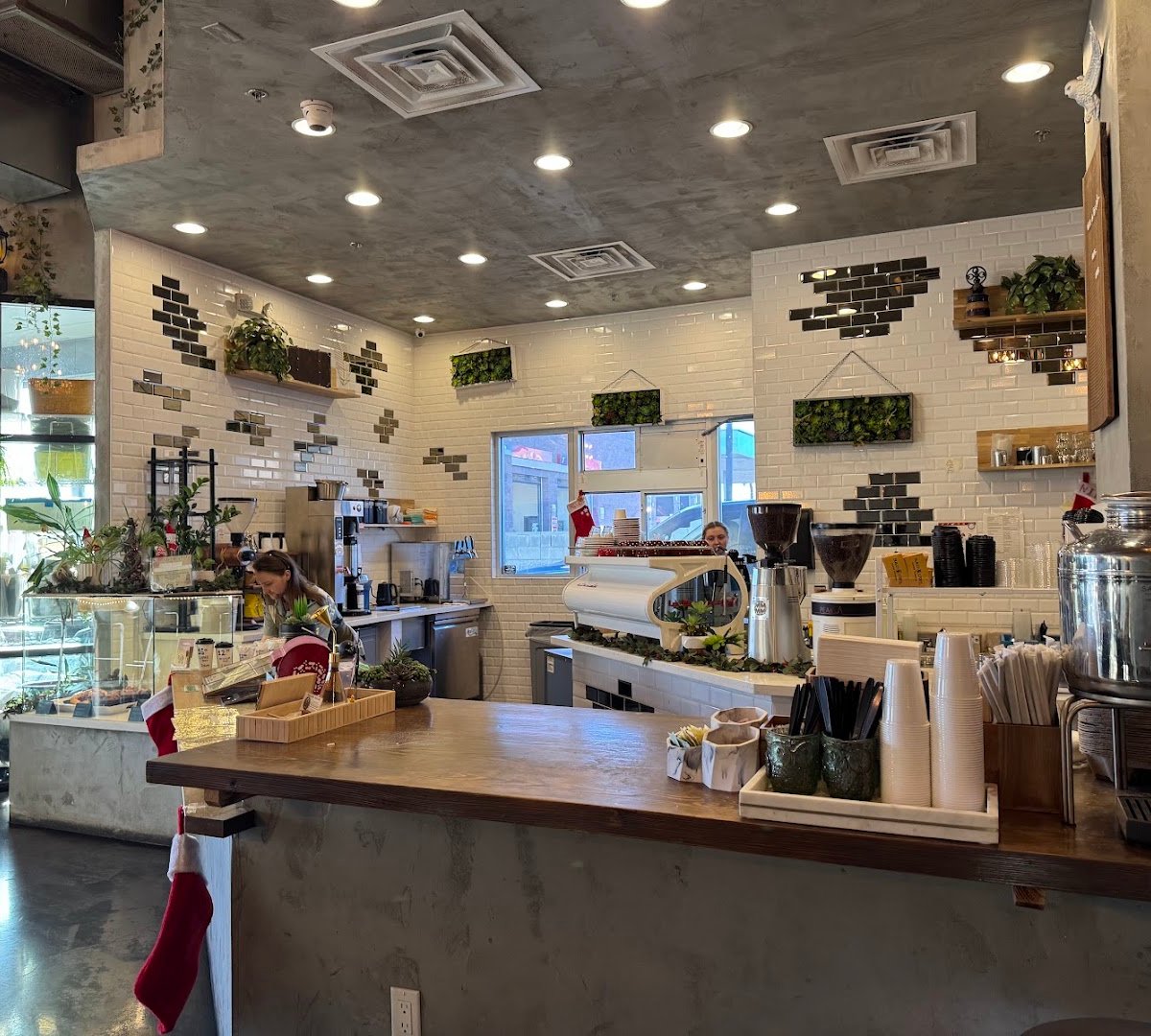 Interior of Bad Owl Coffee Roasters, specialty coffee shop in Las Vegas
