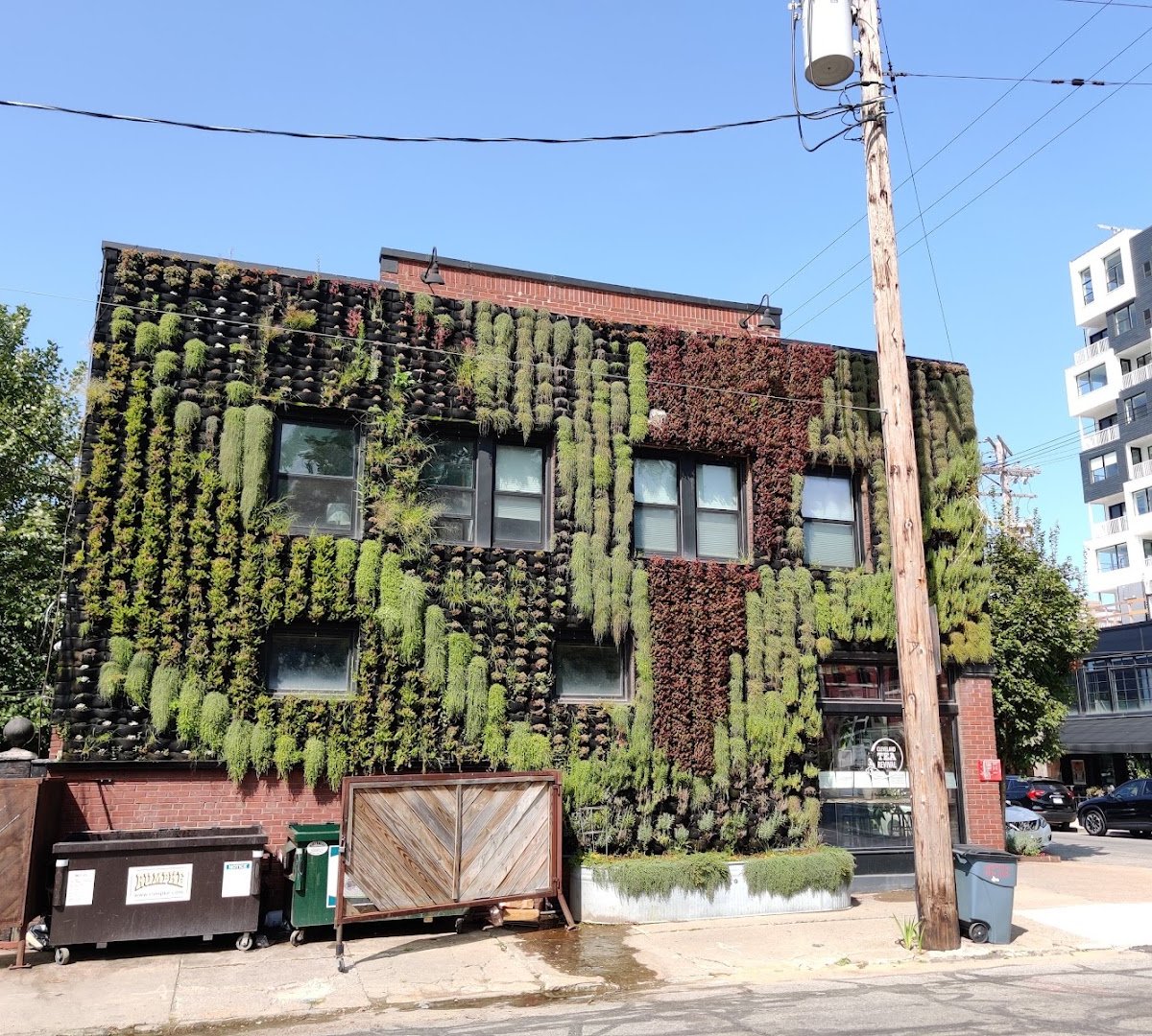 Storefront of Rising Star Coffee Roasters, specialty coffee shop in Cleveland