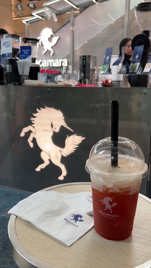 Pacamara Coffee Roasters (The Offices at CentralwOrld) specialty coffee shop in Bangkok - photo 7