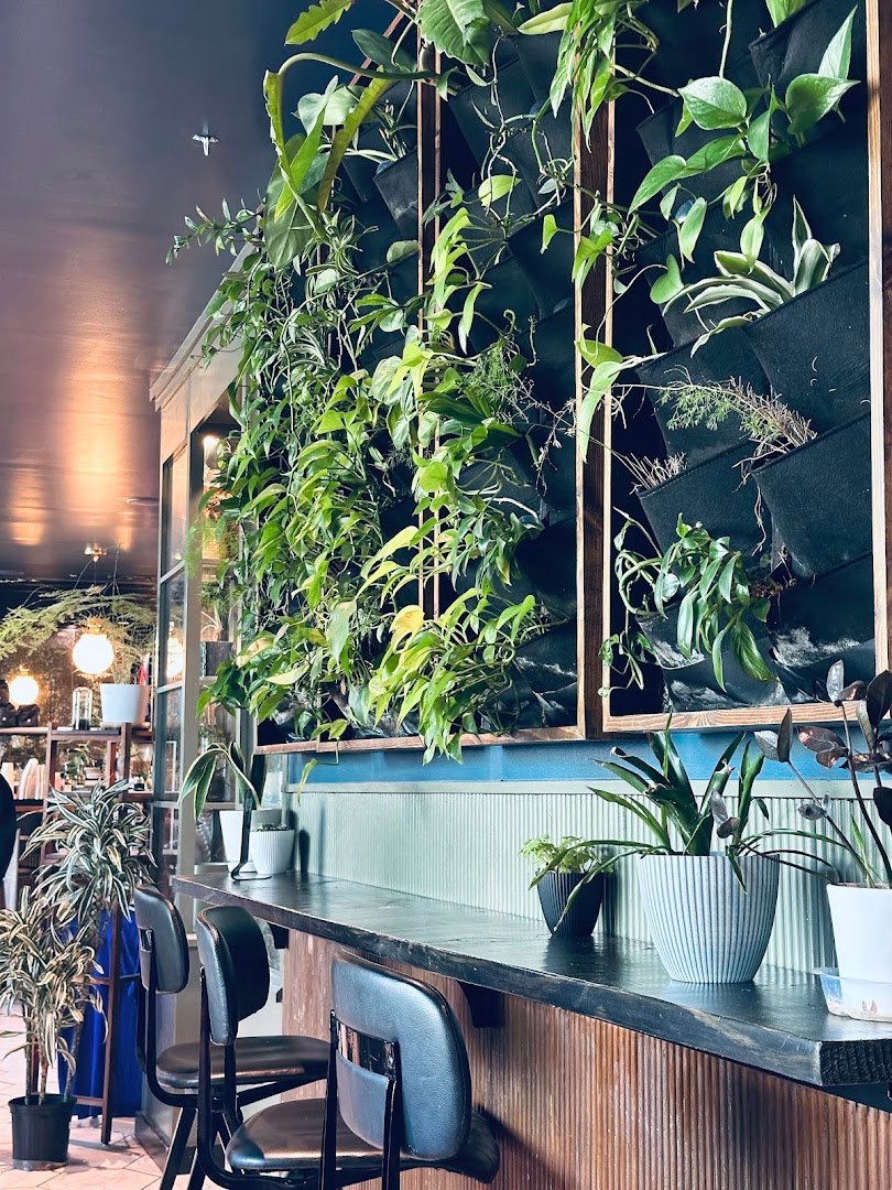 Interior of The Optimist Raleigh, specialty coffee shop in Raleigh-Durham