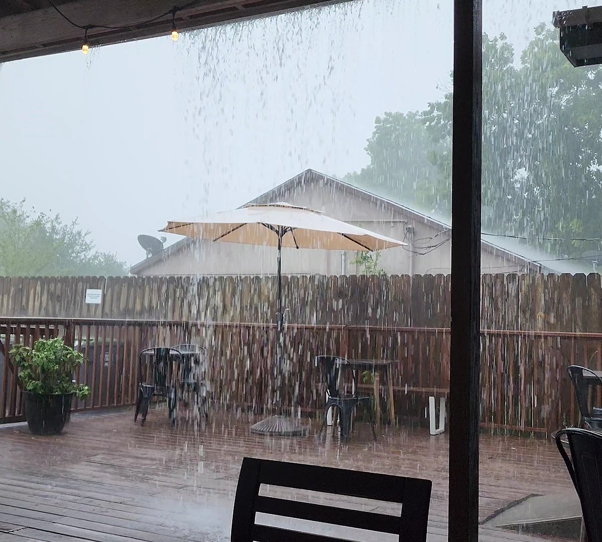 Pearland Coffee Roasters specialty coffee shop in Houston - photo 10