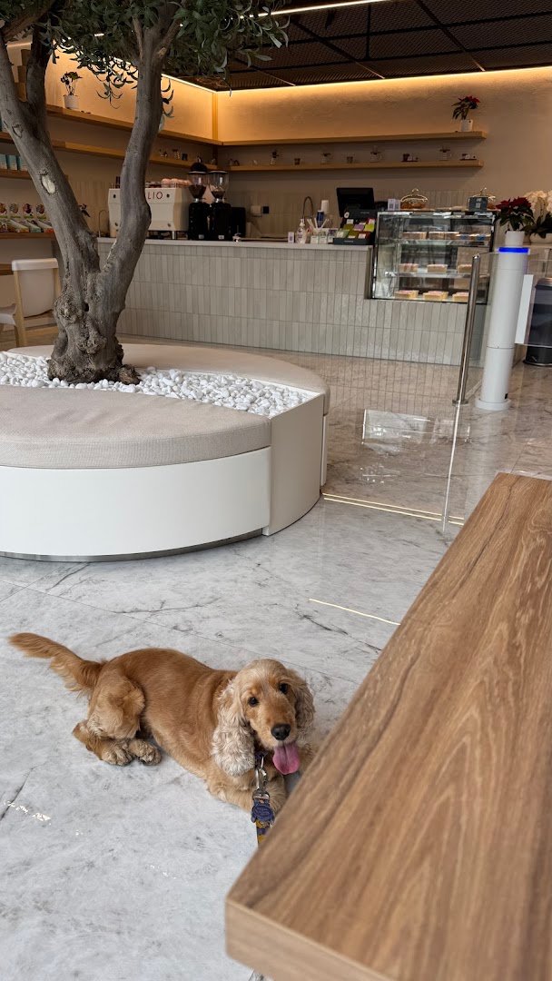 STIR Coffee specialty coffee shop in Dubai - photo 7