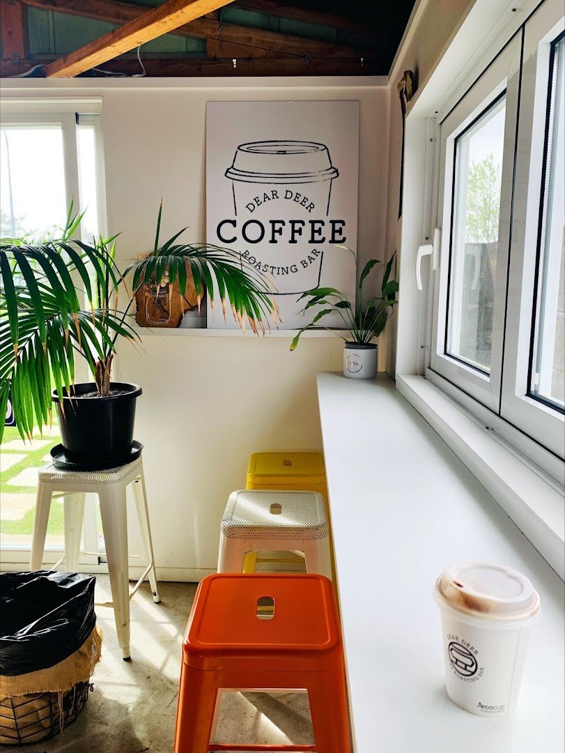 Interior of Dear Deer Coffee Roasting Bar, specialty coffee shop in Auckland