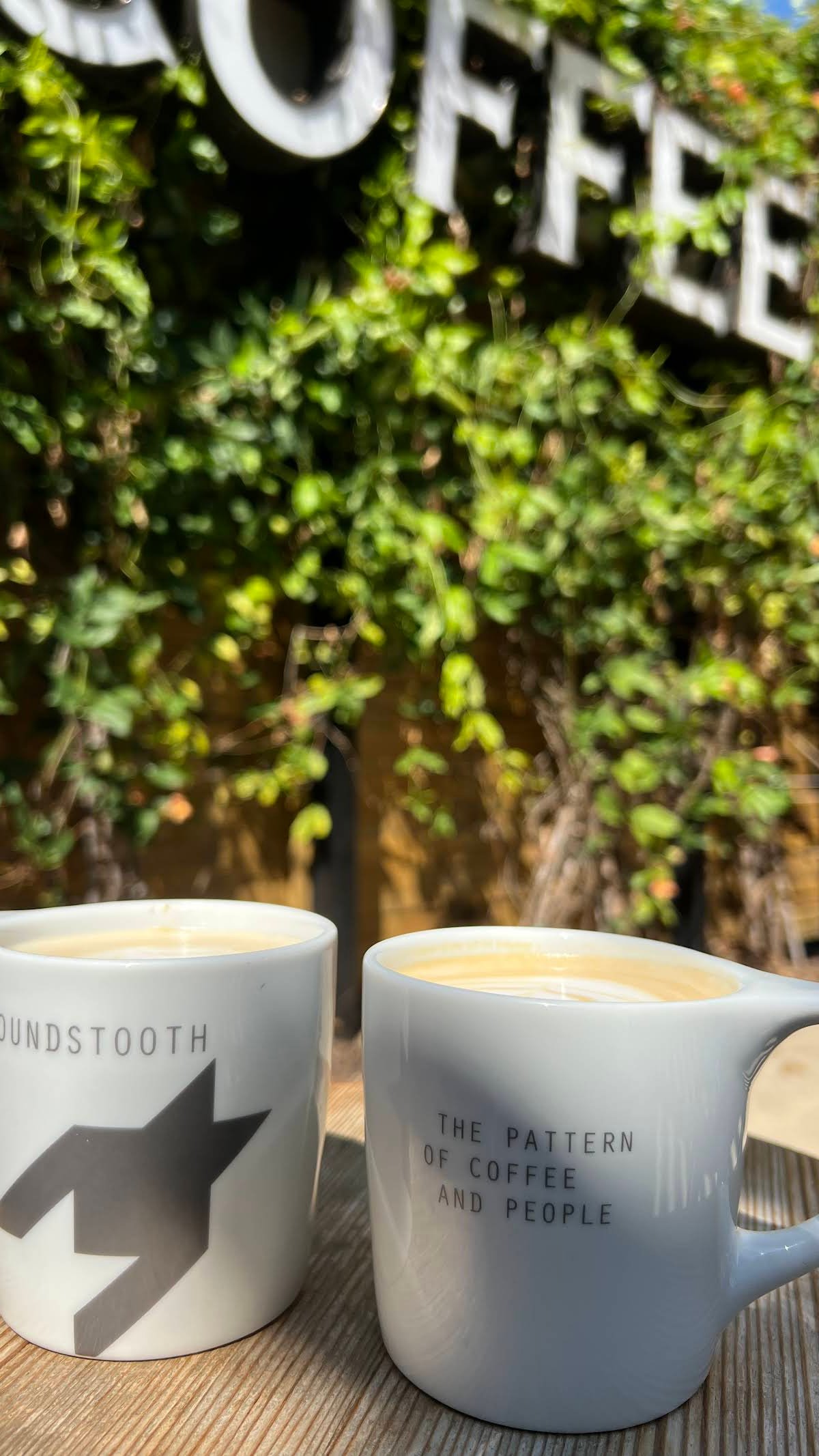 Houndstooth Coffee specialty coffee shop in Dallas - photo 15