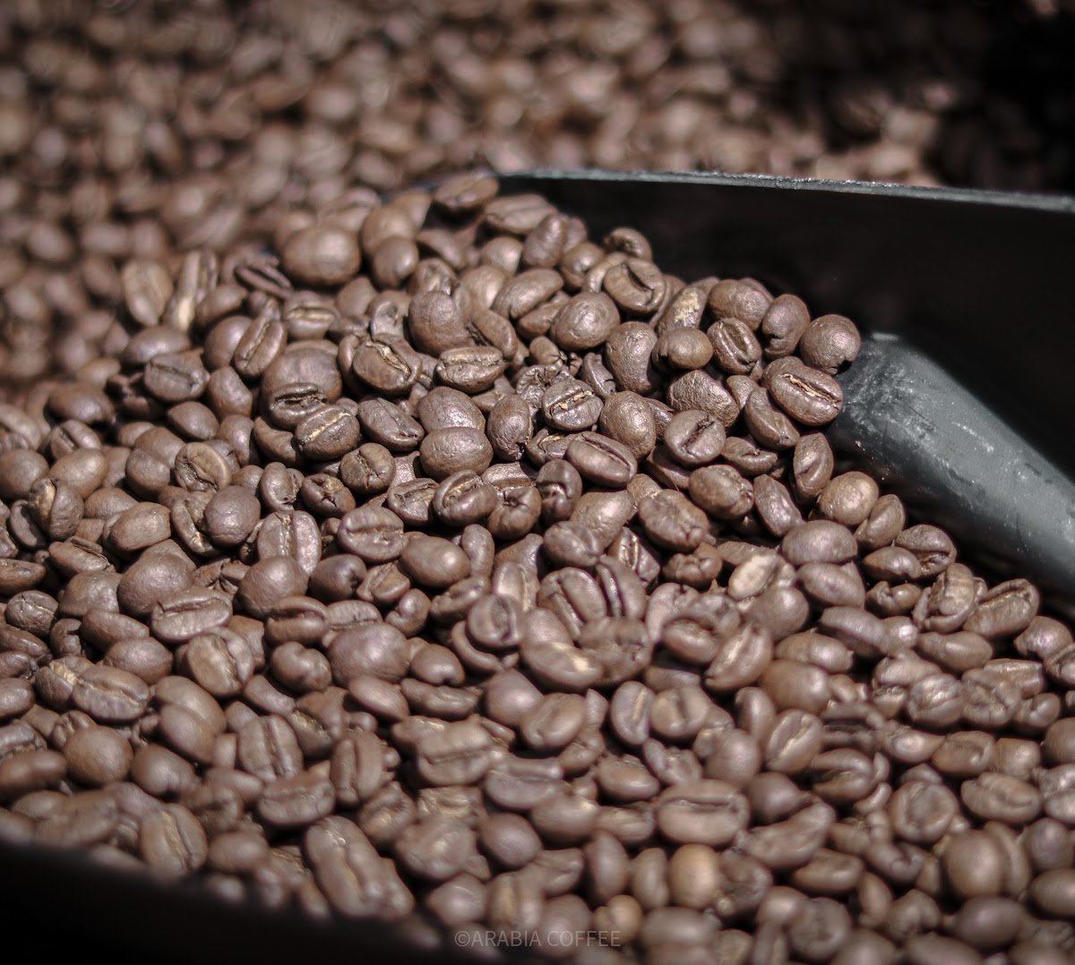 ARABIA COFFEE specialty coffee shop in Bangkok - photo 10
