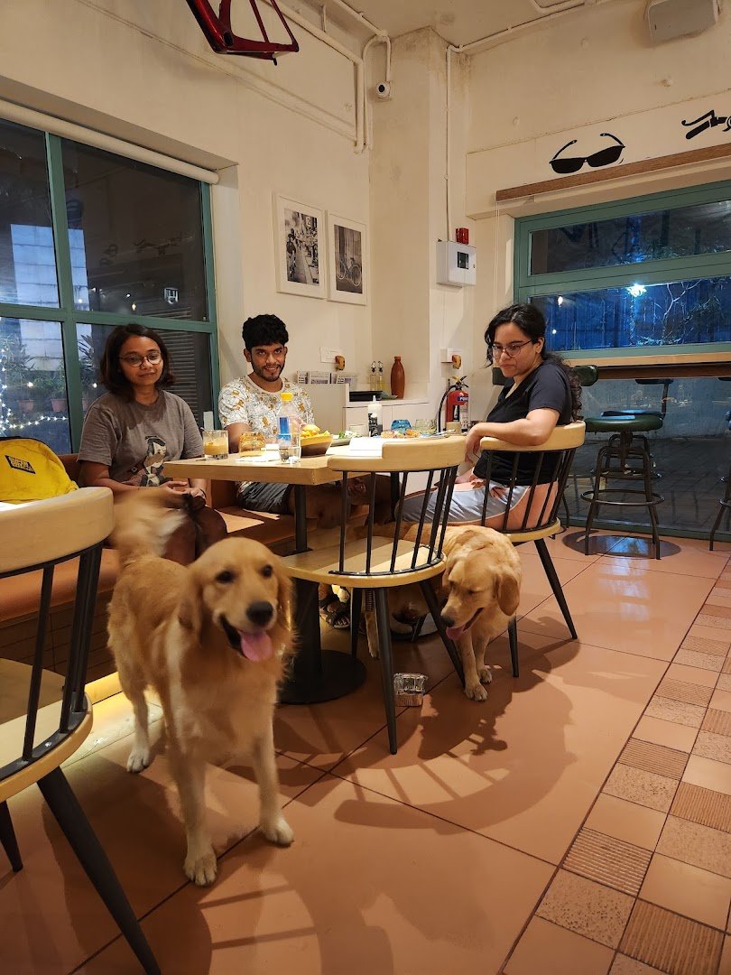 Interior of Mastermind Bicycle Cafe & Bar, specialty coffee shop in Mumbai