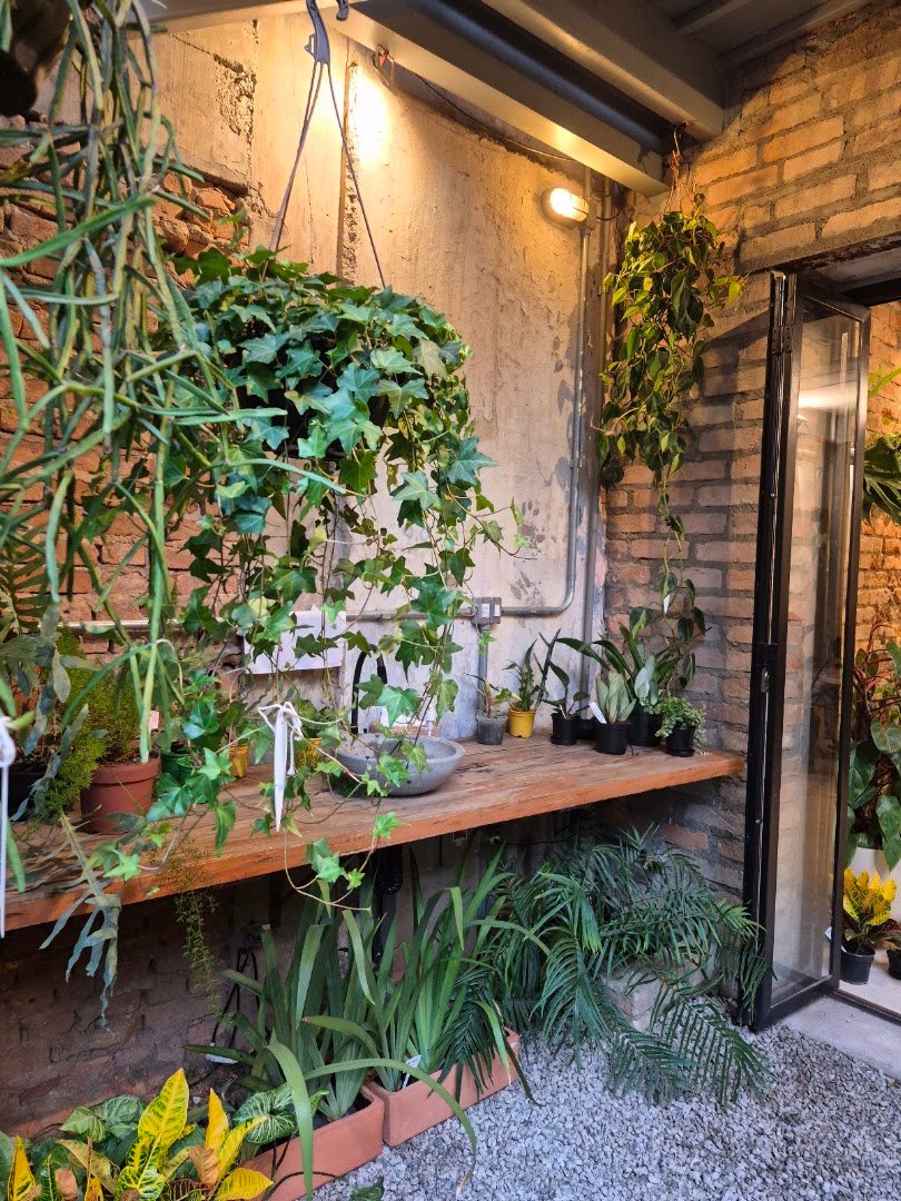 Interior of Café Store, specialty coffee shop in São Paulo