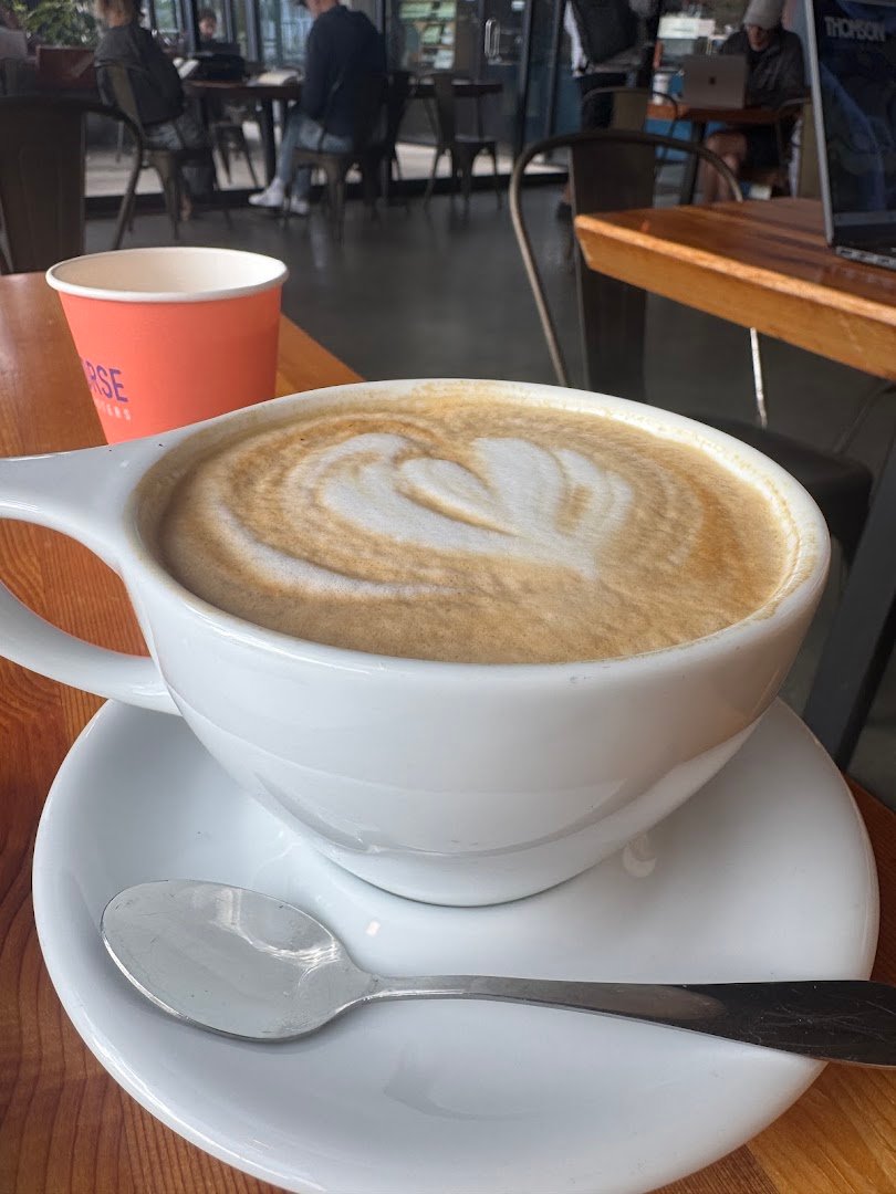 Coffee at Dark Horse Coffee Roasters, specialty coffee shop in San Diego
