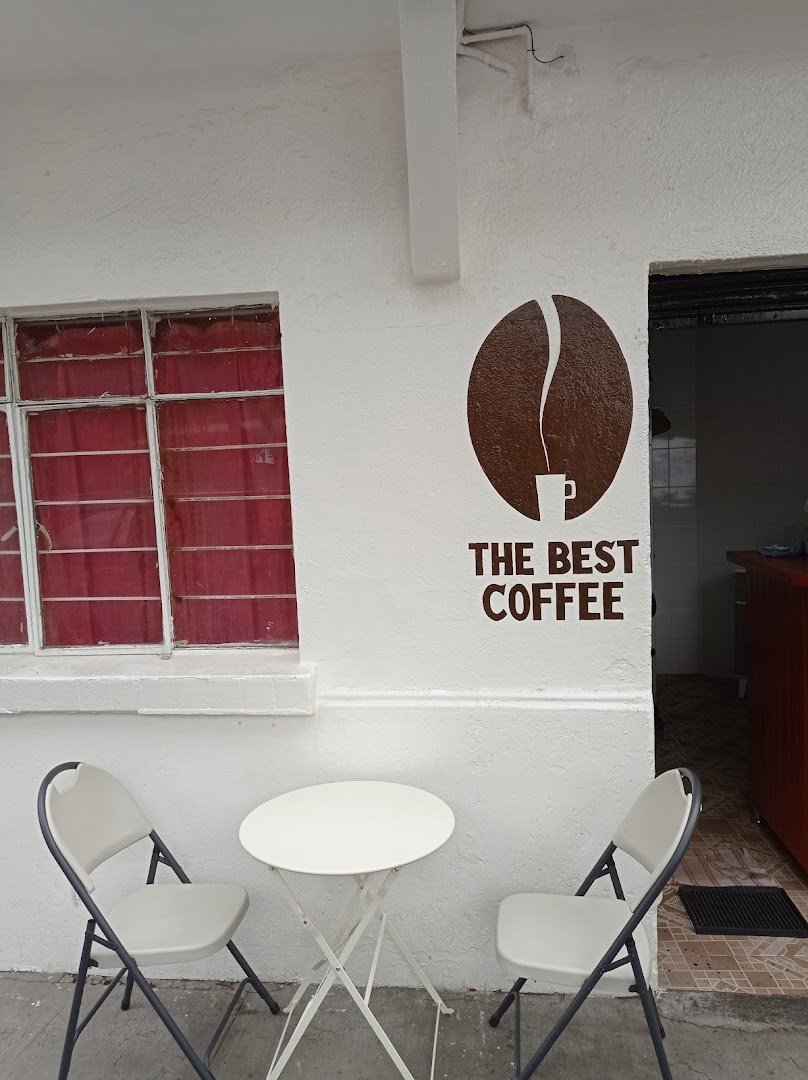 Interior of The Best Coffee, specialty coffee shop in Mexico City