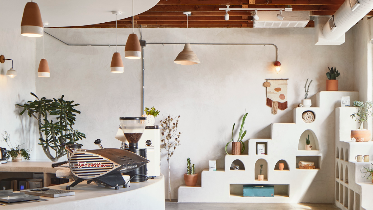 Palomino Coffee specialty coffee shop in Austin - photo 2