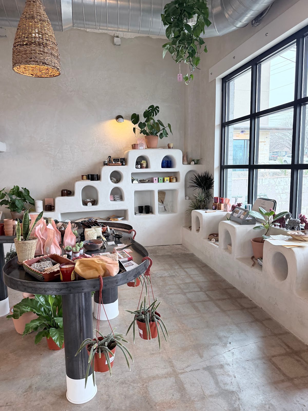 Palomino Coffee specialty coffee shop in Austin - photo 3