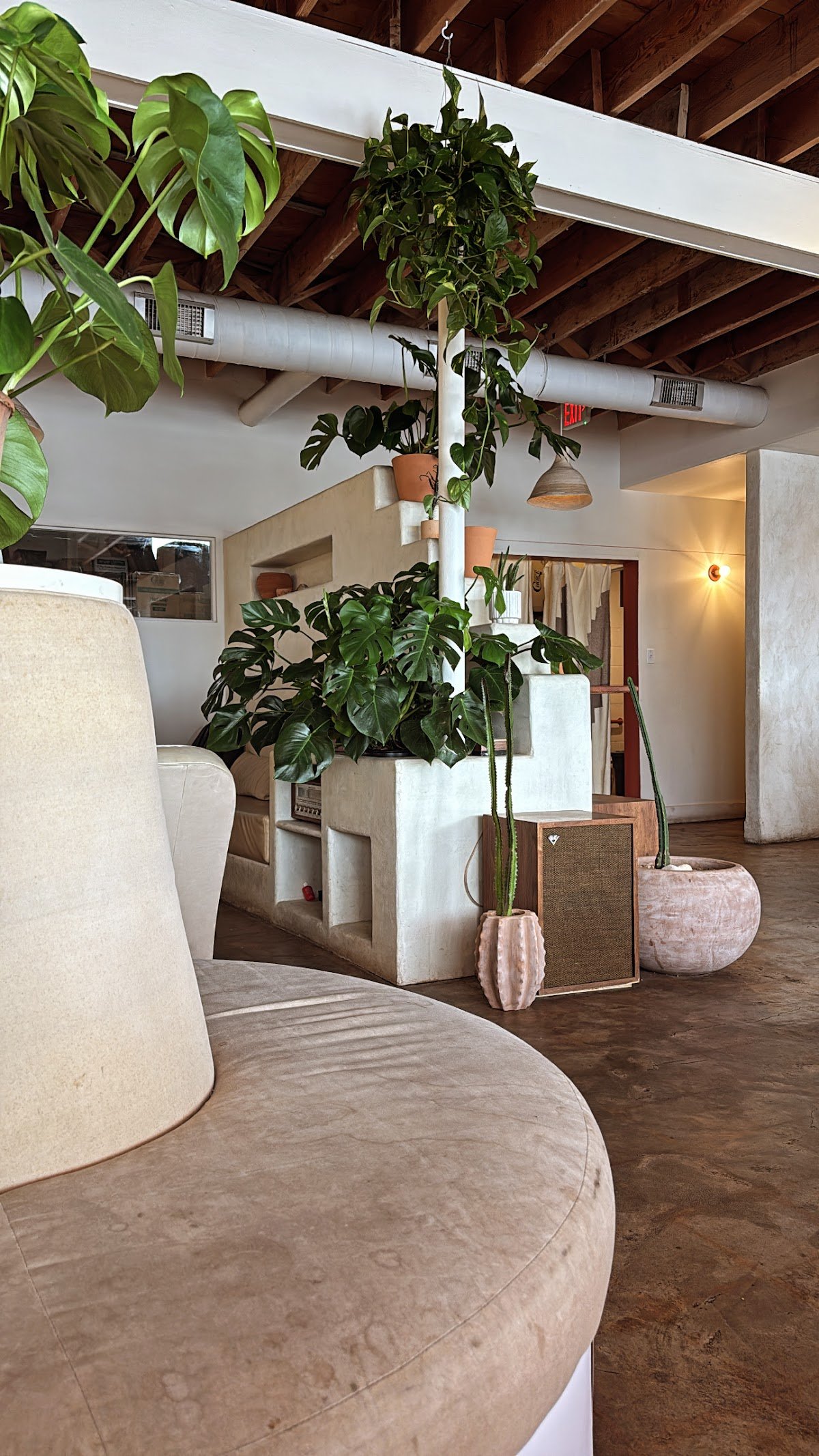 Palomino Coffee specialty coffee shop in Austin - photo 5