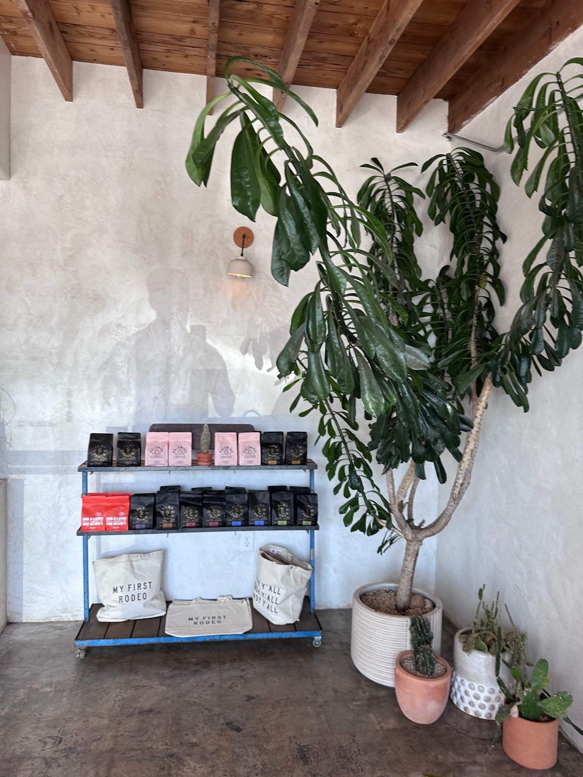 Palomino Coffee specialty coffee shop in Austin - photo 7