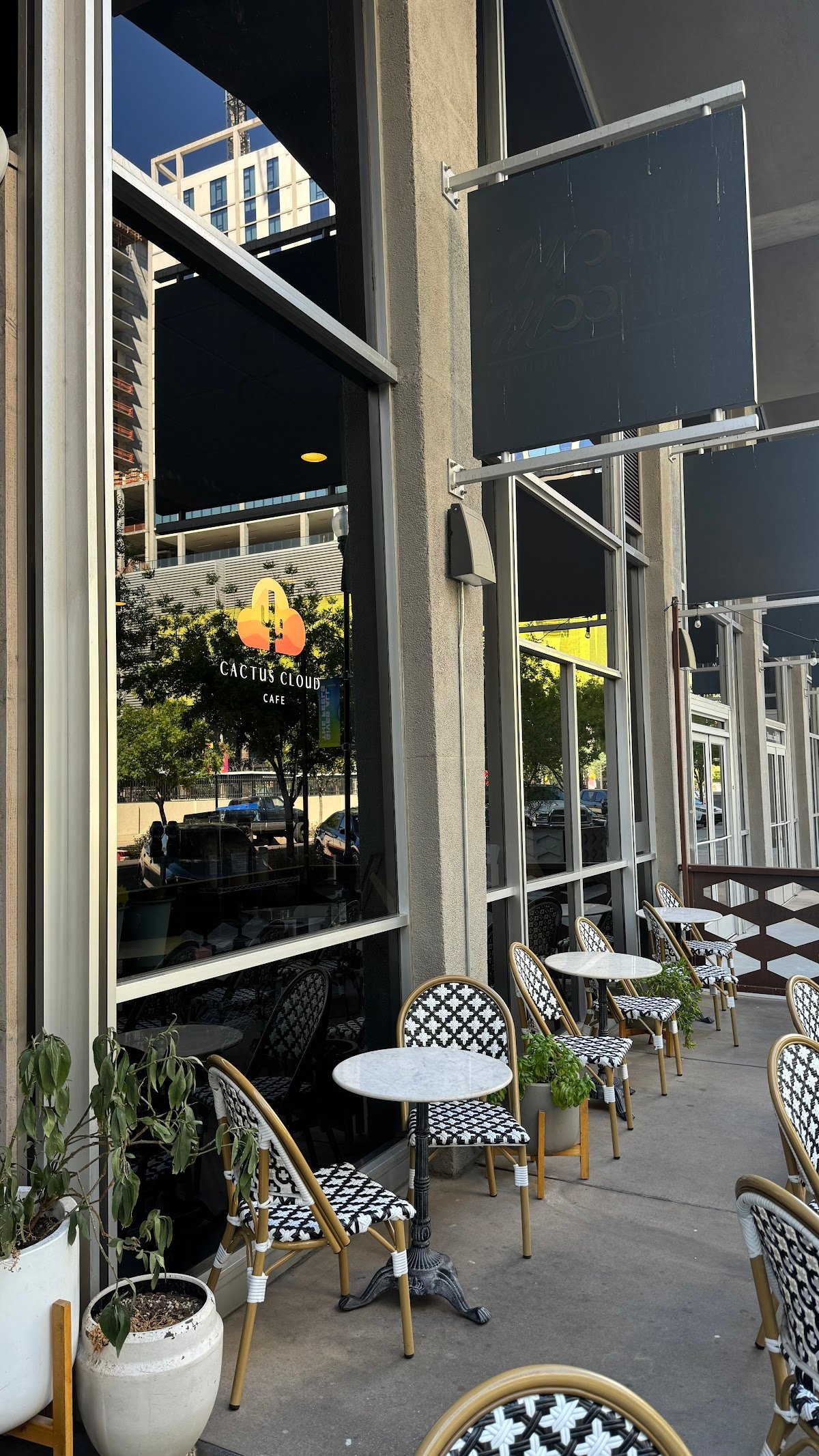 Cactus Cloud Cafe specialty coffee shop in Phoenix - photo 11