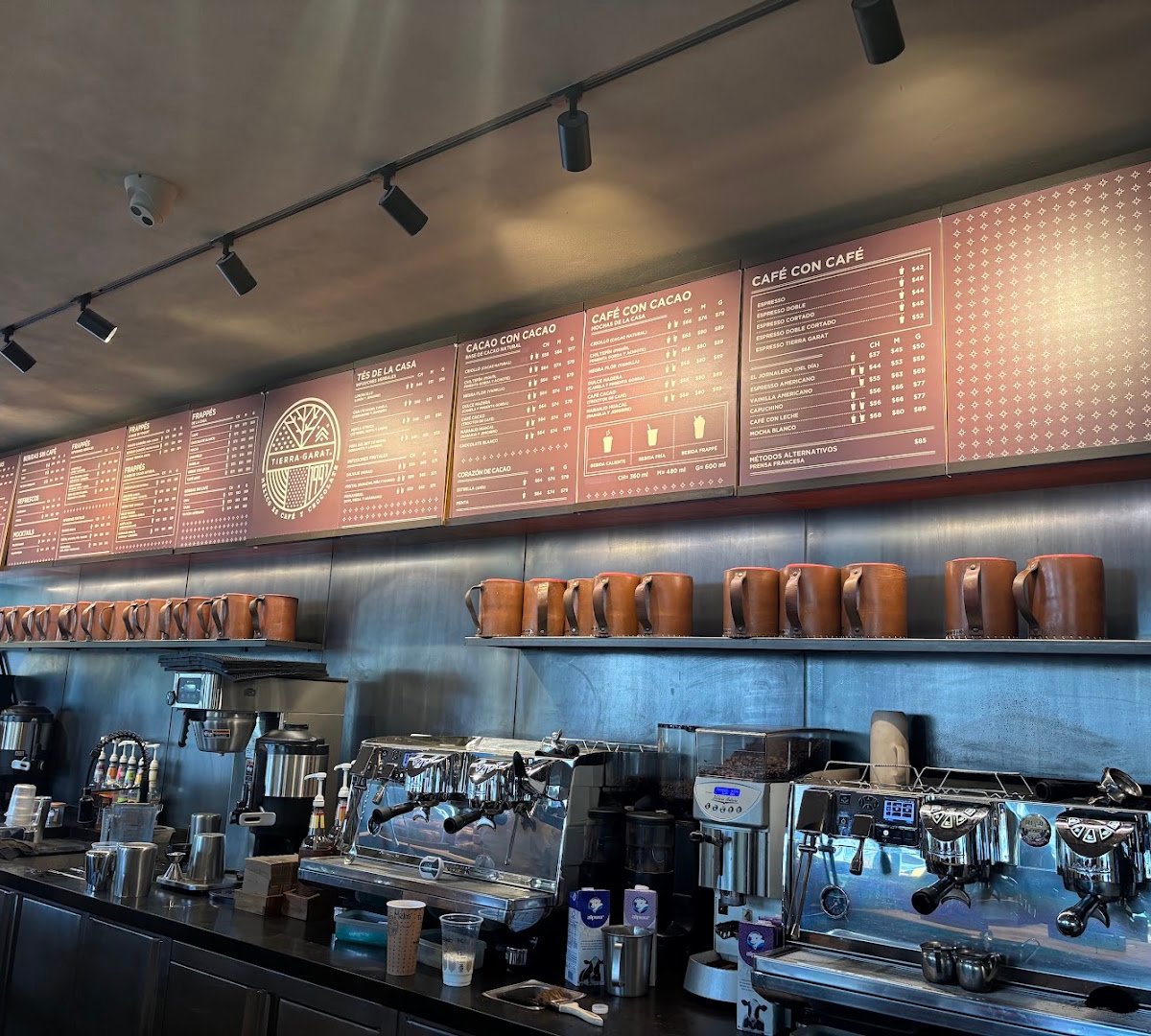 Interior of Tierra Garat Salamanca, specialty coffee shop in Mexico City