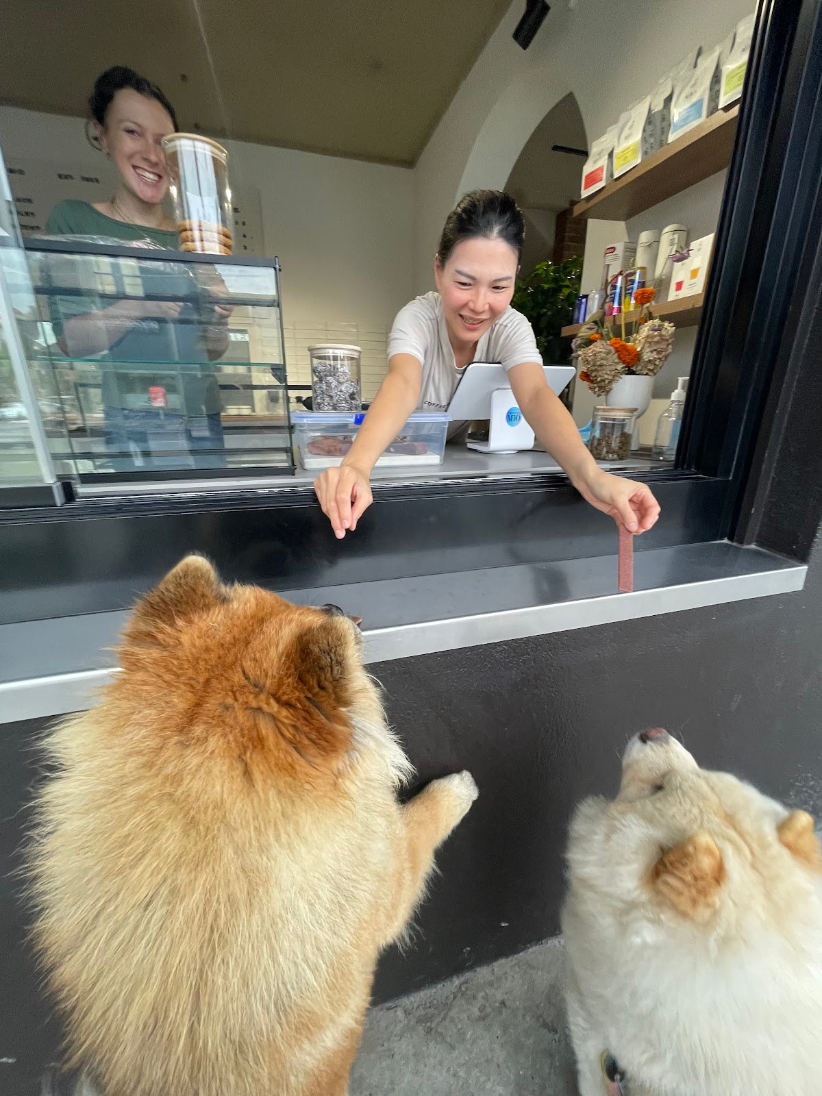 Coffee MIO specialty coffee shop in Melbourne - photo 4