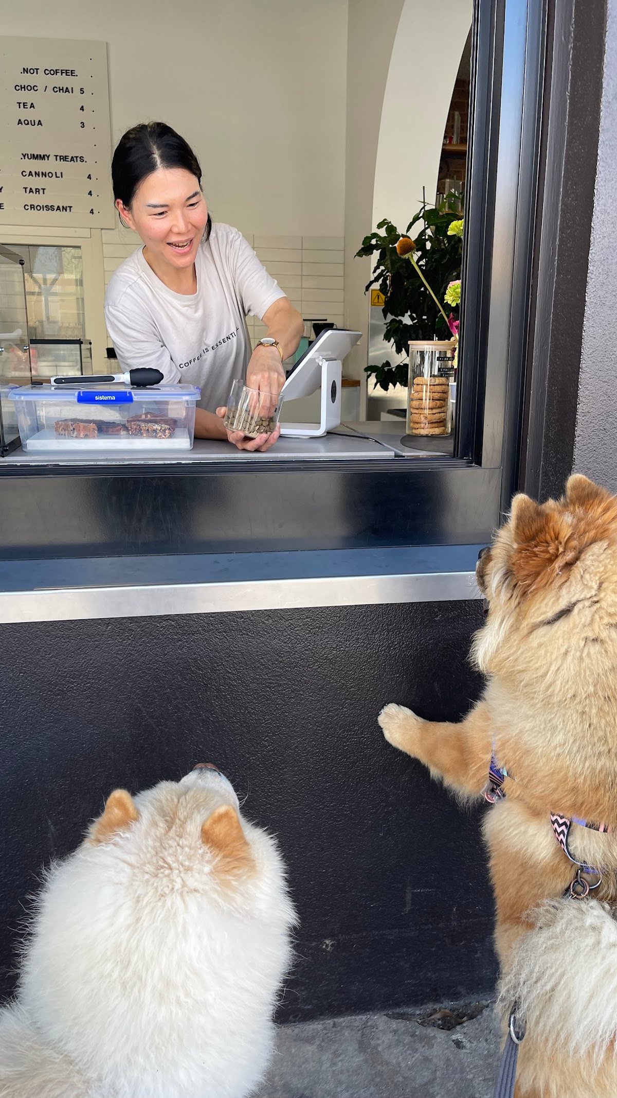 Coffee MIO specialty coffee shop in Melbourne - photo 9