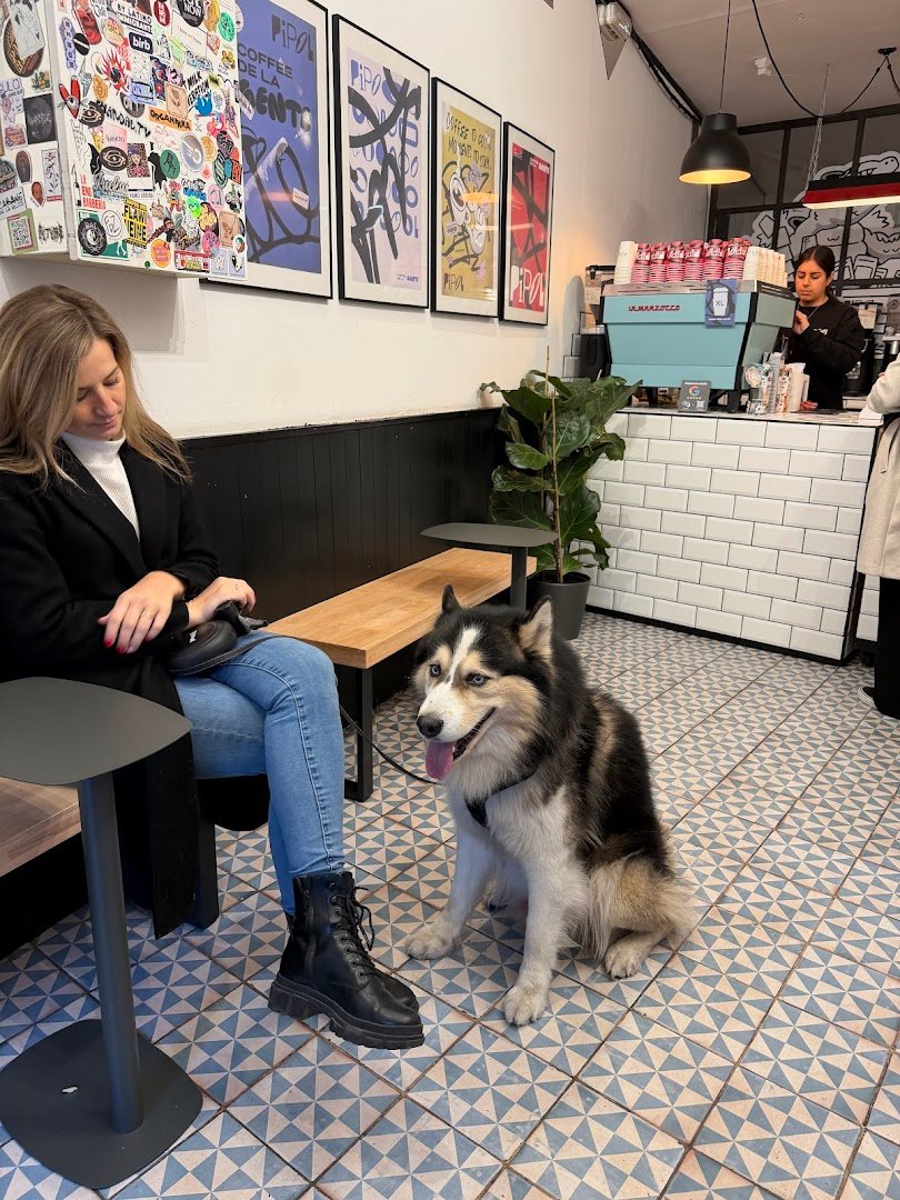 Pipol Coffee specialty coffee shop in Barcelona - photo 4