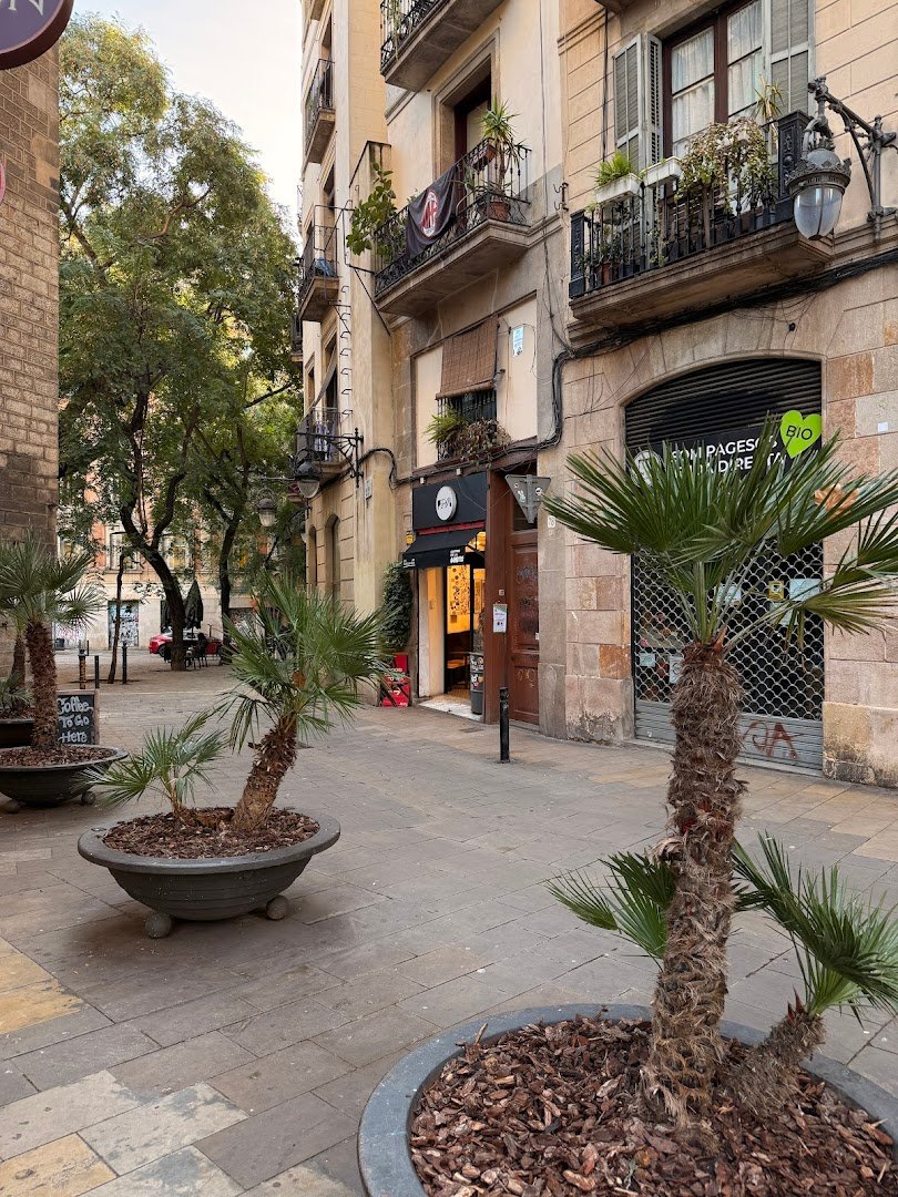 Pipol Coffee specialty coffee shop in Barcelona - photo 8