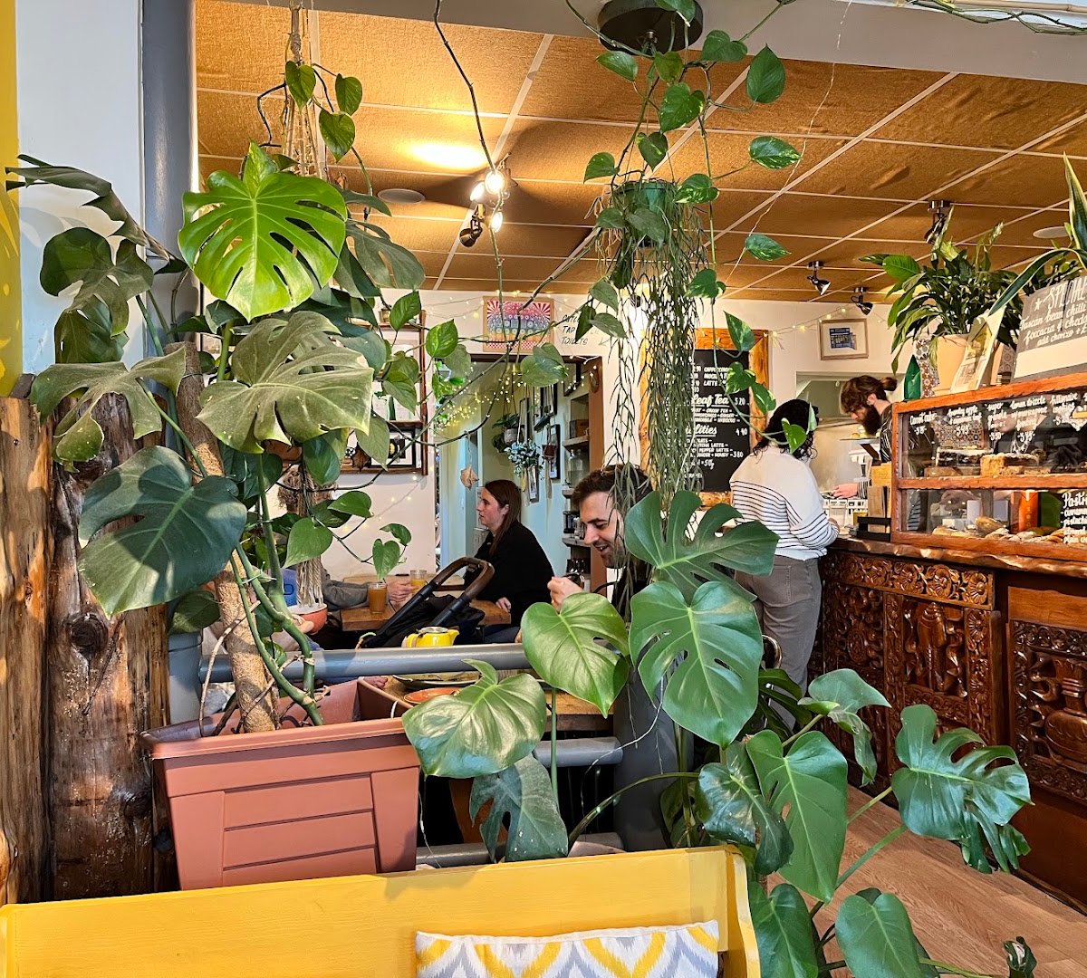 The Nectar House specialty coffee shop in Bristol - photo 2