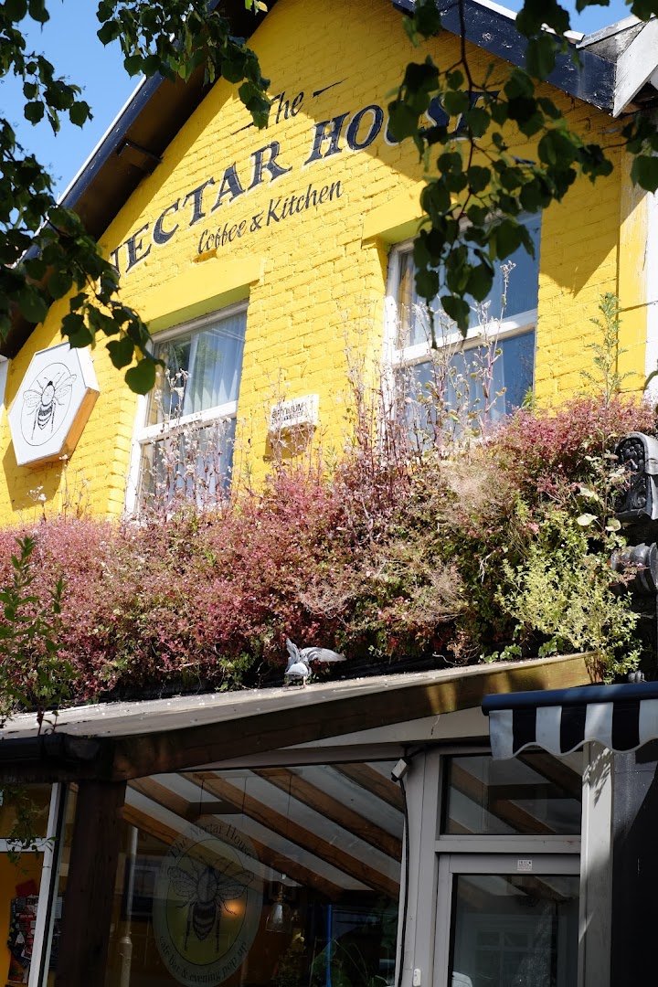 The Nectar House specialty coffee shop in Bristol - photo 4
