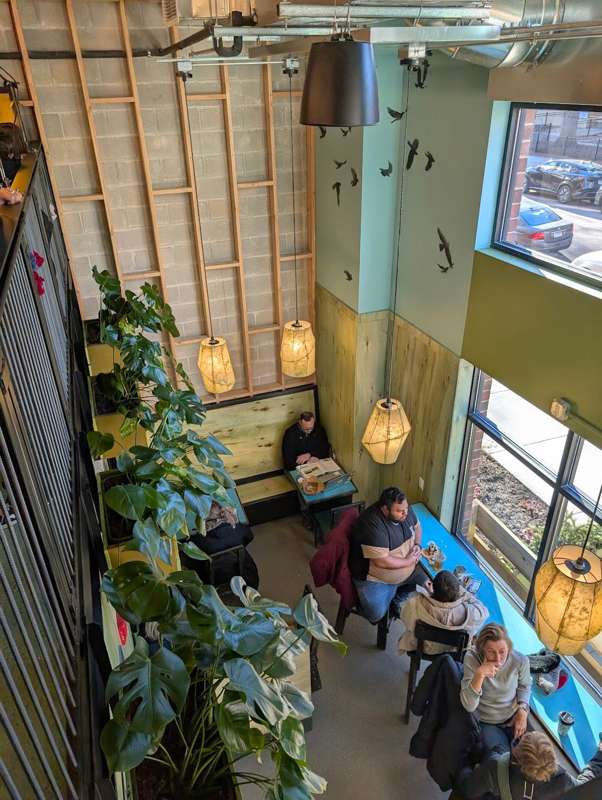 Colectivo Coffee Ravenswood specialty coffee shop in Chicago - photo 7