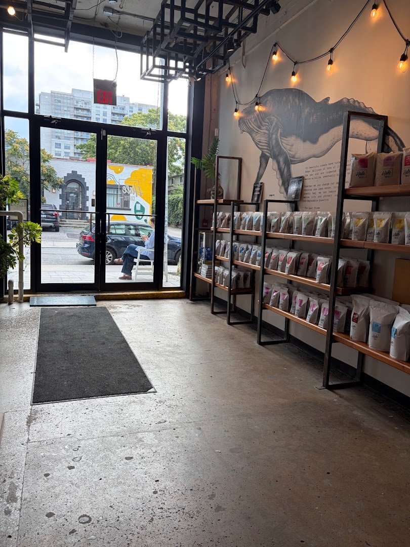 Interior of Hale Coffee Company, specialty coffee shop in Toronto