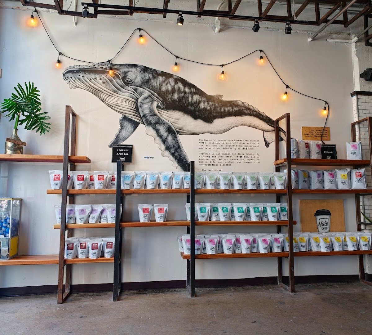 Interior of Hale Coffee Company, specialty coffee shop in Toronto