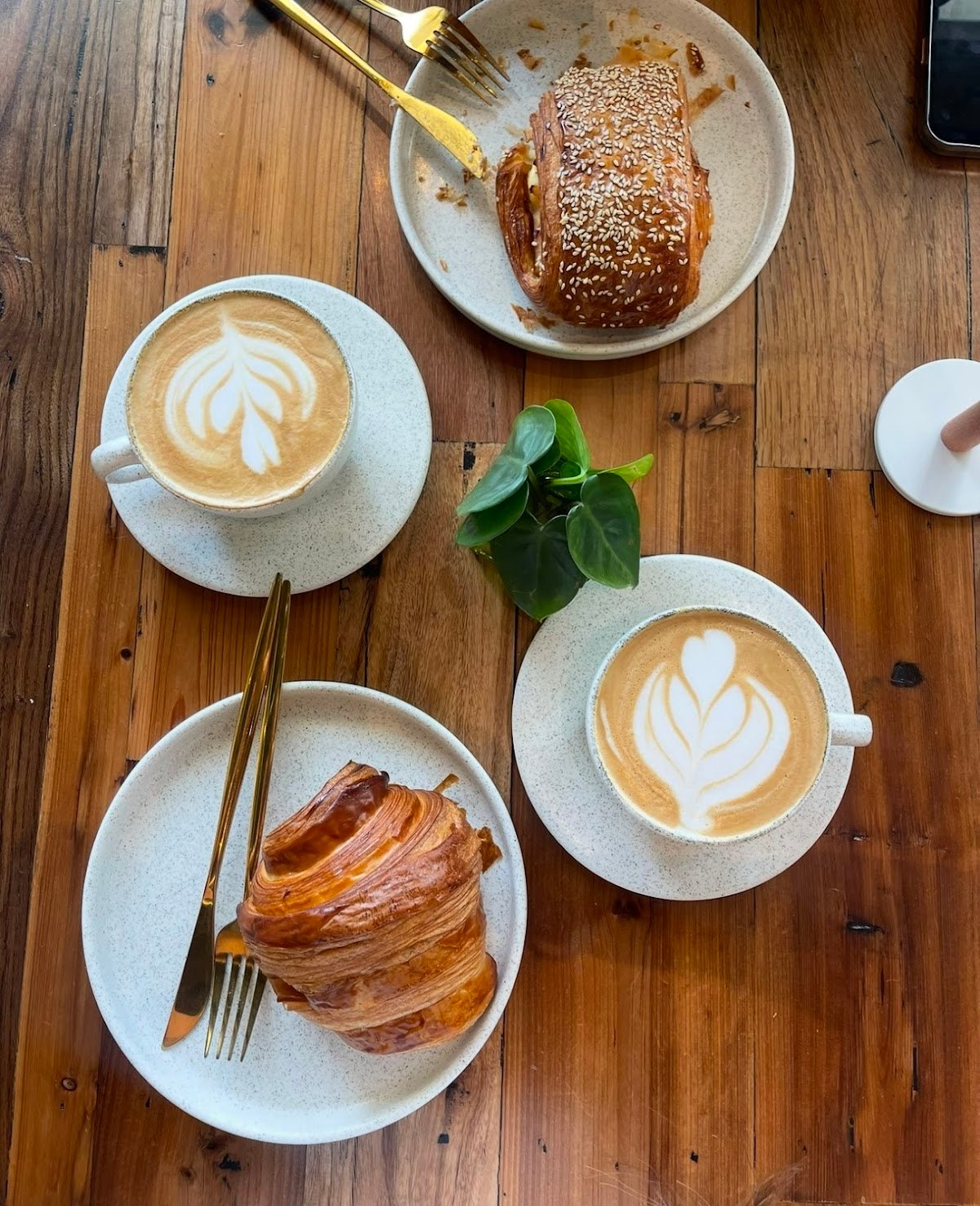 Magdalena Coffee & Houseplants specialty coffee shop in Miami - photo 3