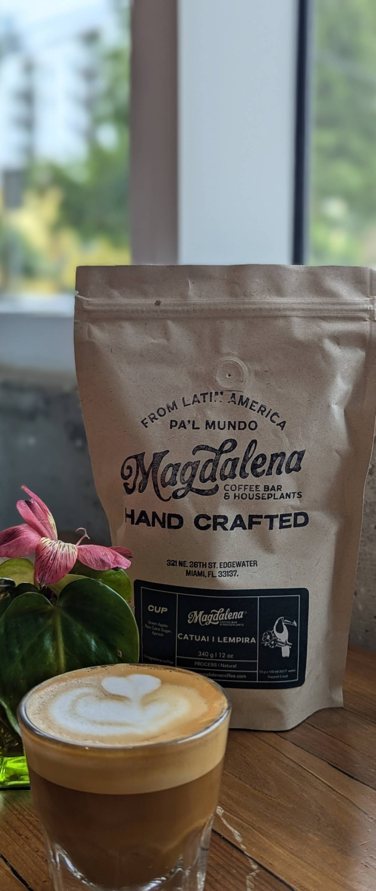 Magdalena Coffee & Houseplants specialty coffee shop in Miami - photo 9