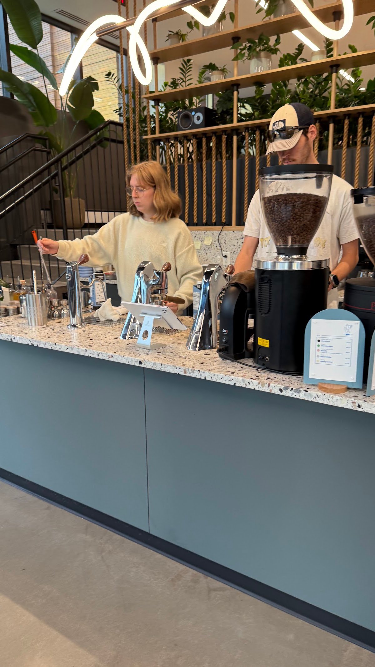 Little Wolf Coffee specialty coffee shop in Boston - photo 13