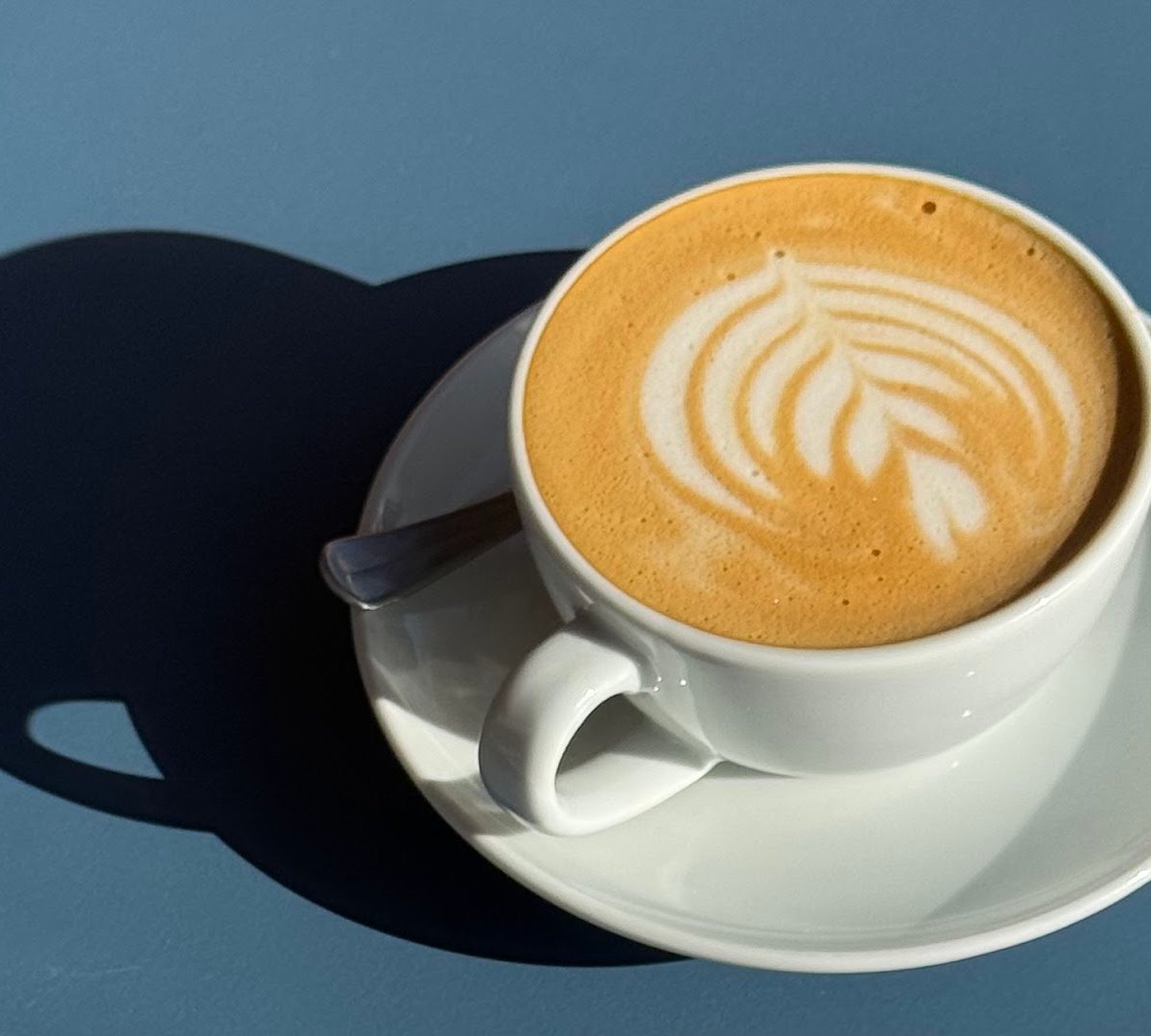 Interlude Coffee specialty coffee shop in Bristol - photo 3