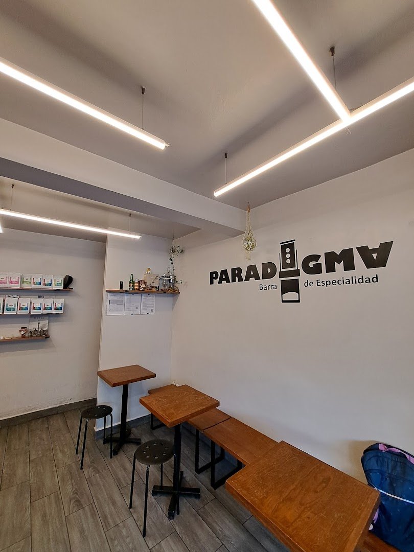 Interior of Paradigma Café, specialty coffee shop in Mexico City