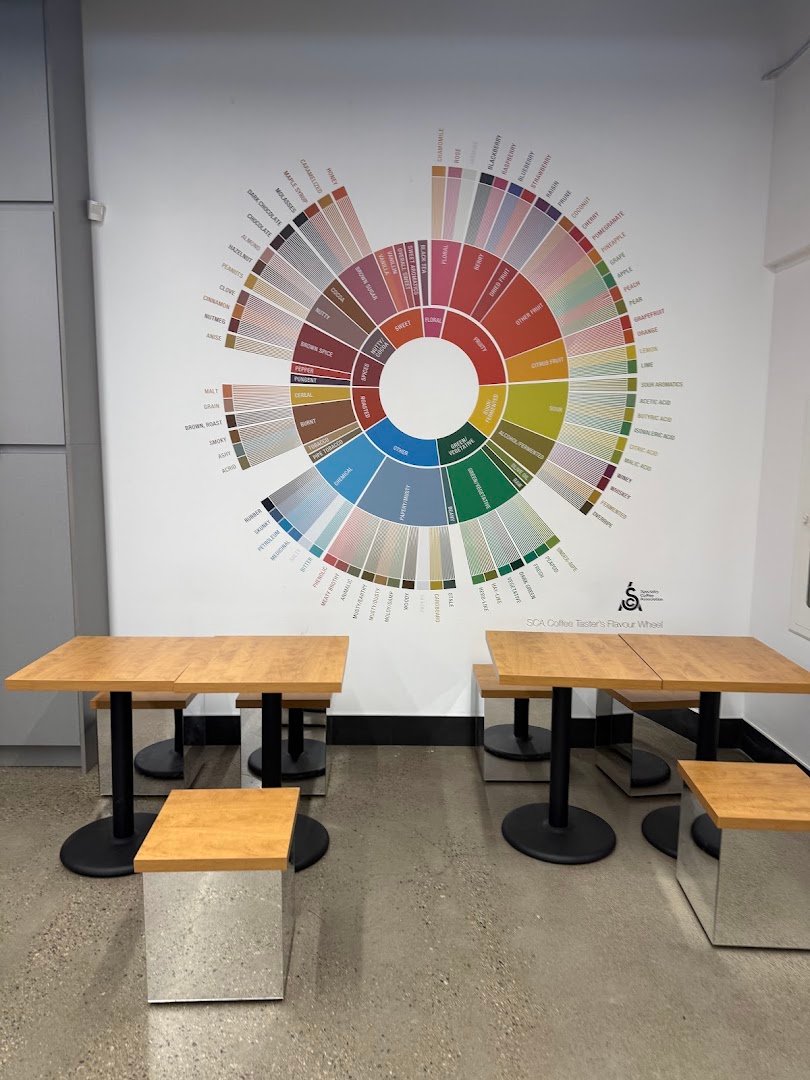 Interior of De Mello Coffee, specialty coffee shop in Toronto
