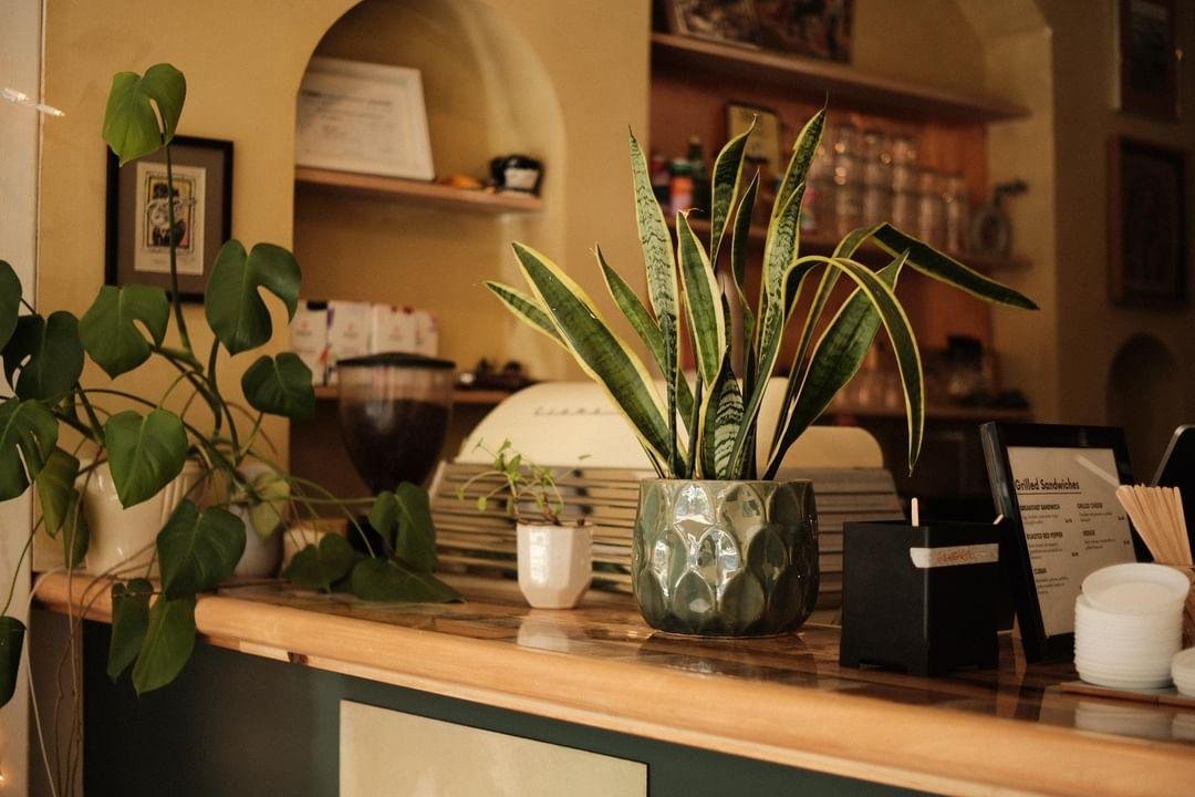 Interior of Osprey Cafe, specialty coffee shop in Toronto