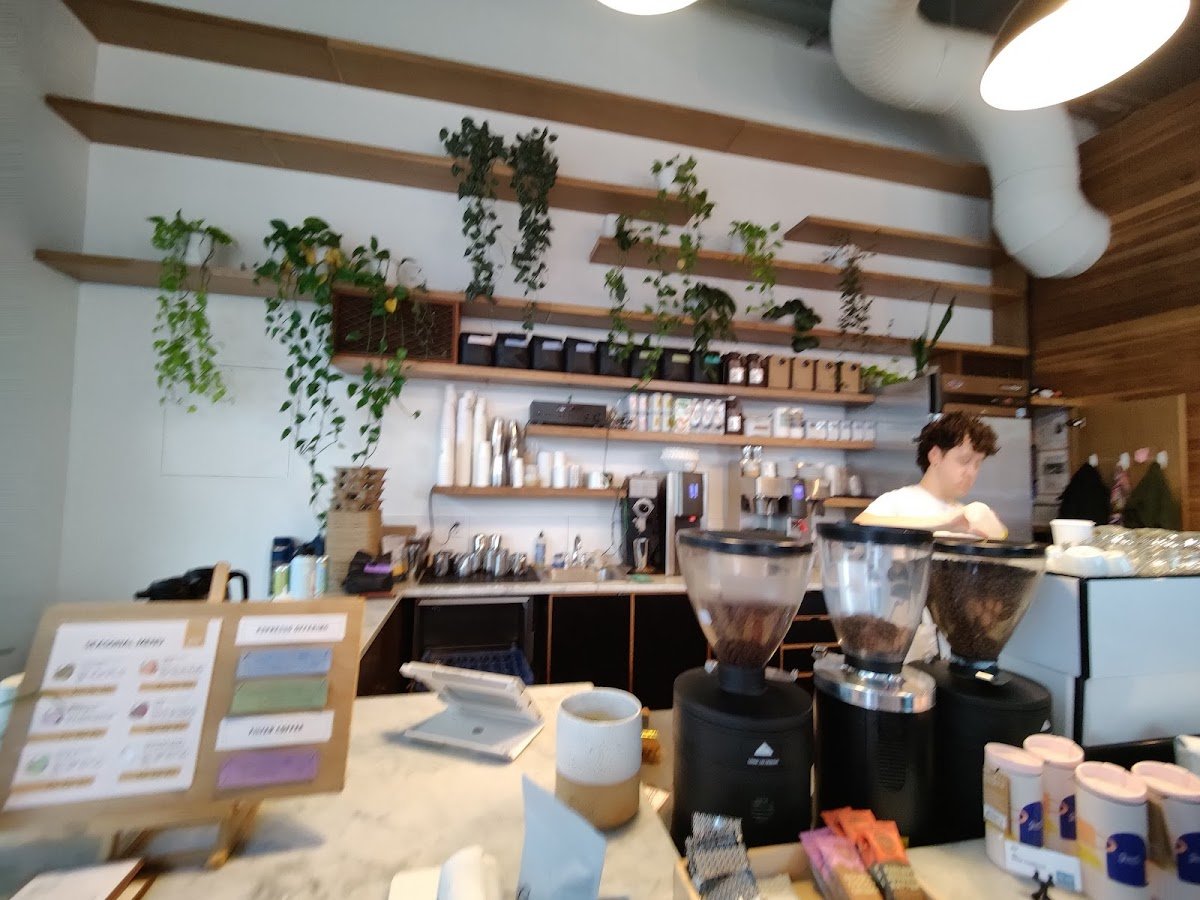 Good Coffee specialty coffee shop in Portland - photo 4
