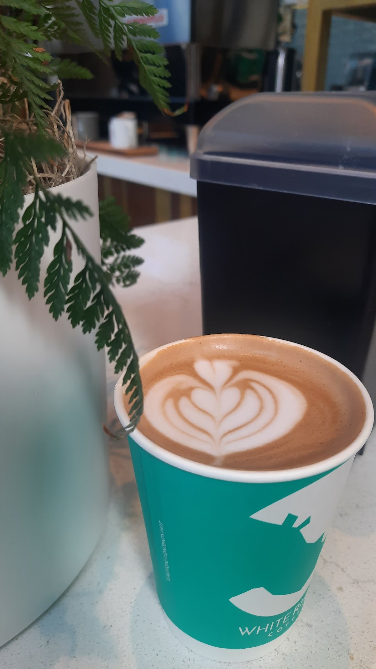 White Rhino Coffee specialty coffee shop in Dallas - photo 14