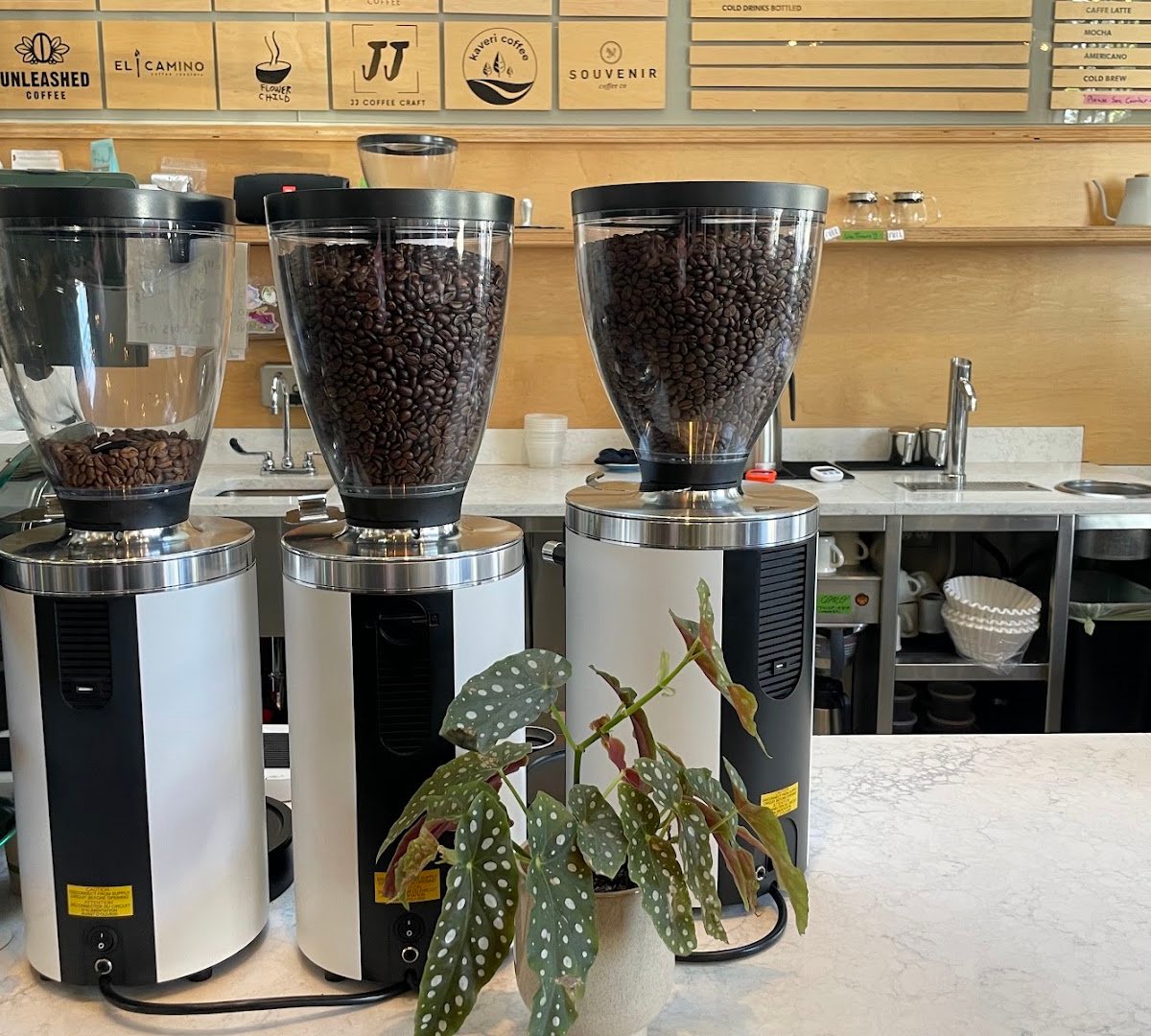 Interior of CoRo Coffee Room, specialty coffee shop in Oakland