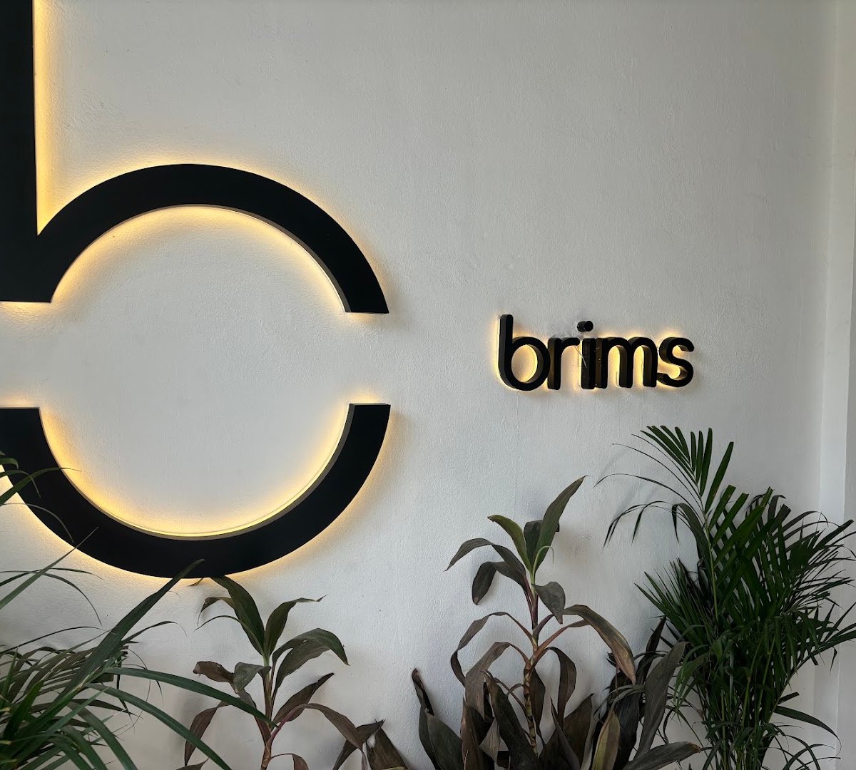 Brims specialty coffee shop in Delhi - photo 10