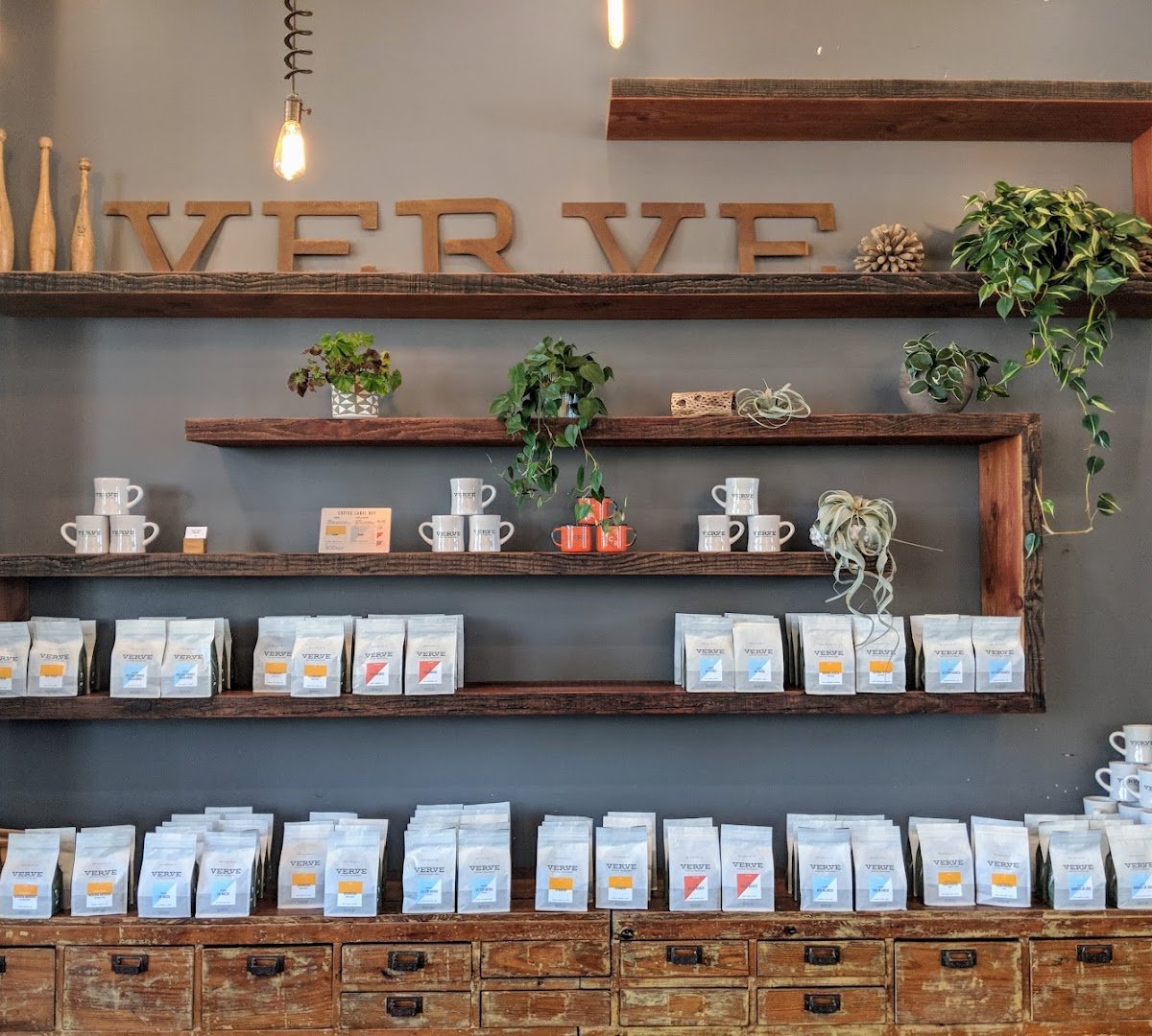 Interior of Verve Coffee Roasters, specialty coffee shop in Santa Cruz