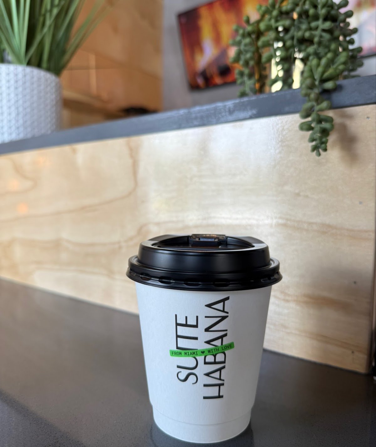 Suite Habana Cafe specialty coffee shop in Miami - photo 8