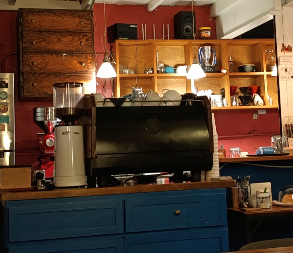 Interior of Casa Cafeína, specialty coffee shop in Mexico City