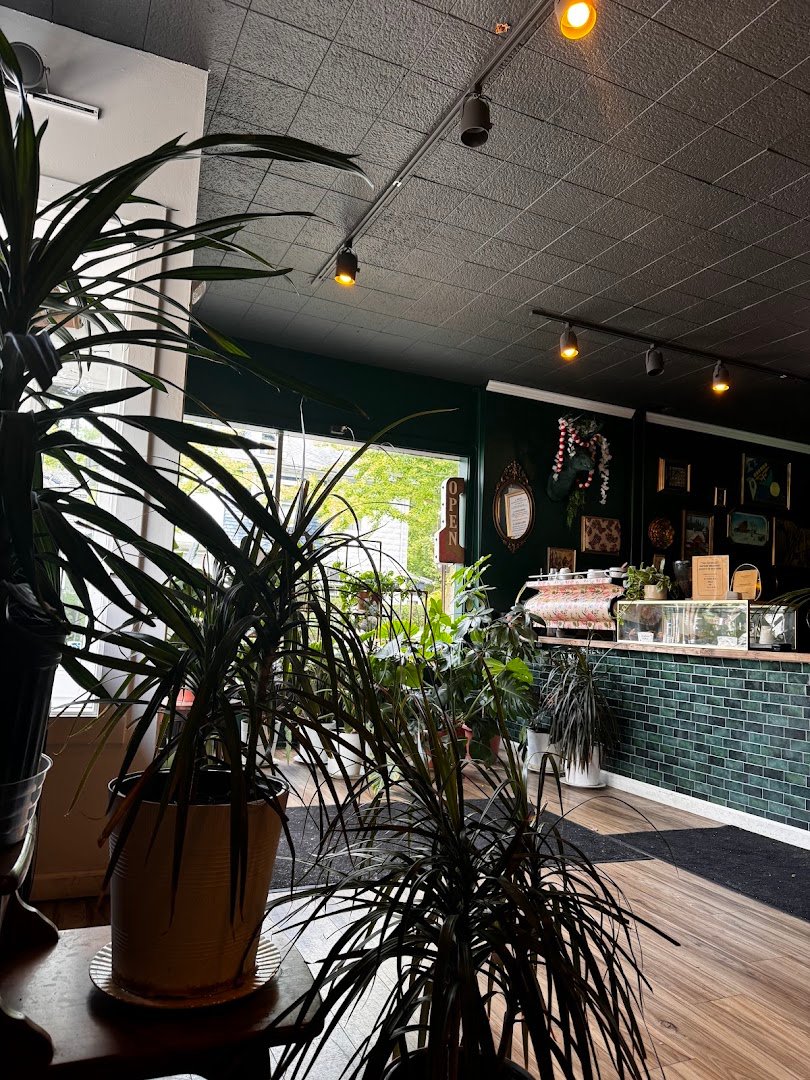 Interior of Montgomery Court, specialty coffee shop in Rochester